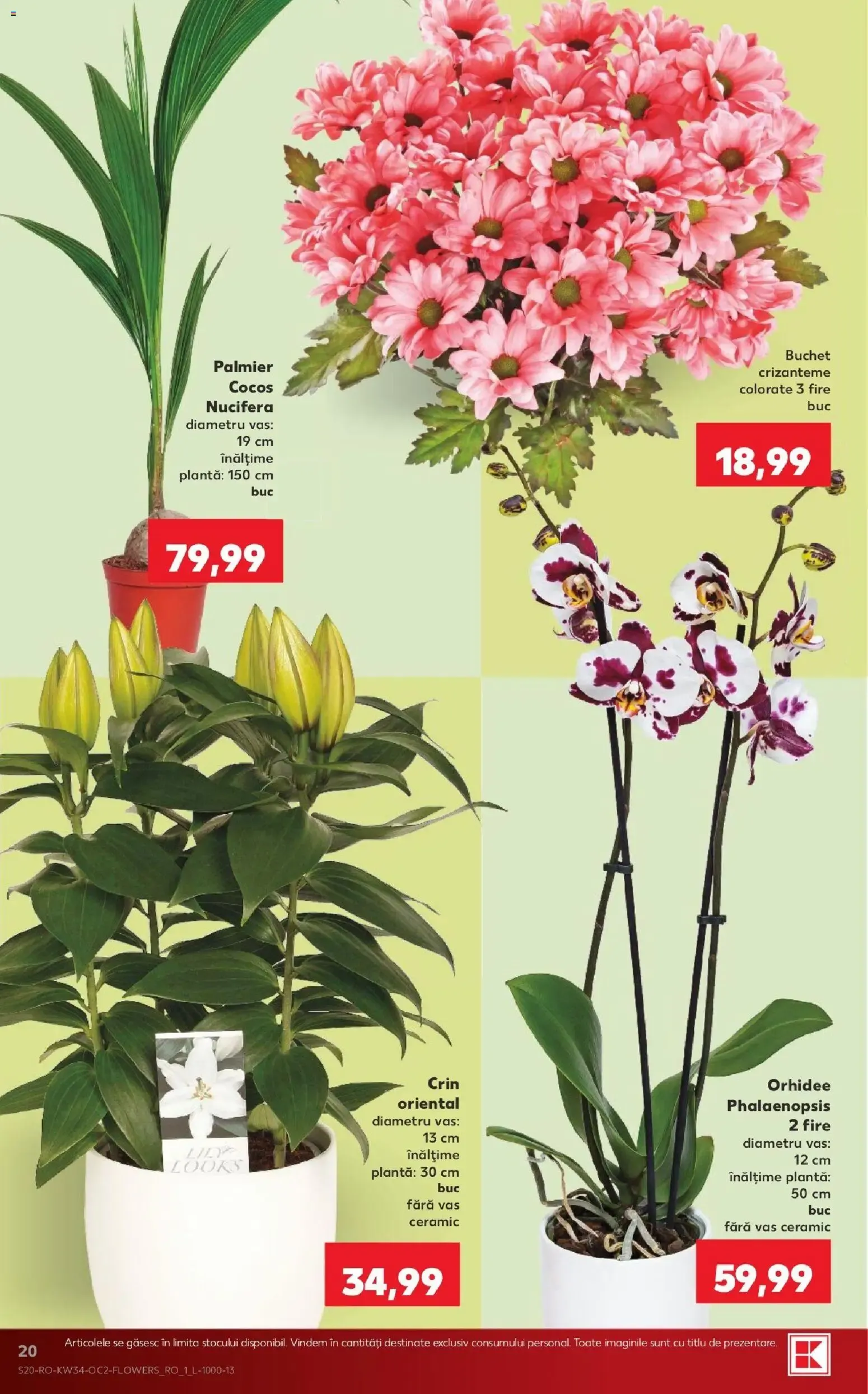 Catalog Kaufland Catalog 19.08.2026 - Revista si Oferta de la 19 august până la 25 august 2026 - Revista Pagina 20