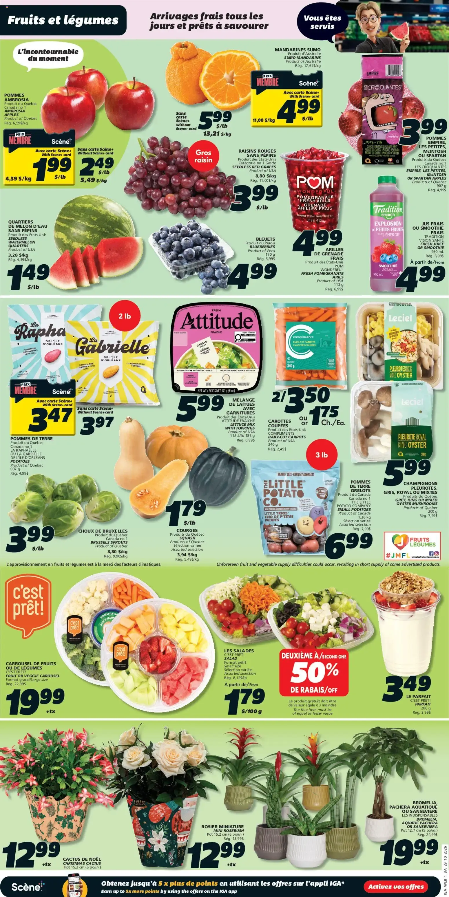 IGA weekly flyer / circulaire from Oct 29, 2026 > weekly specials & deals from October 29 to November 4 2026 - flyer page 3
