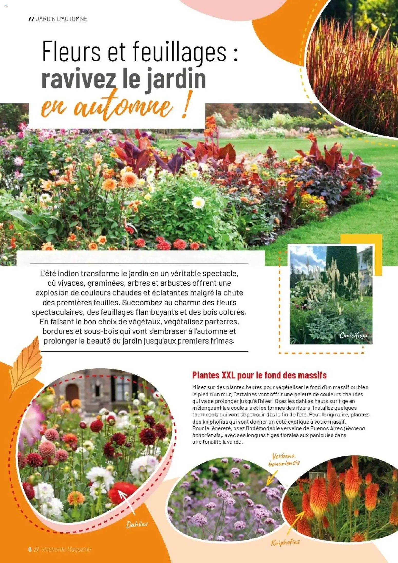 VillaVerde MAGAZINE Automne/Hiver 2026 du 30 septembre au 31 décembre 2026 - Catalogue page 6