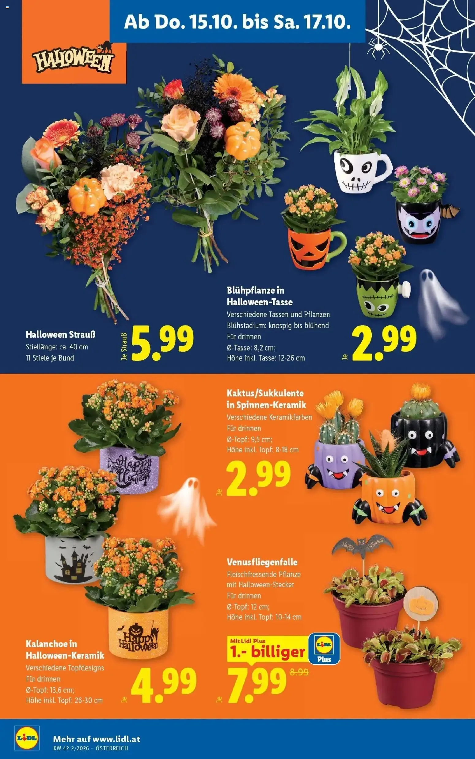 Lidl Flugblatt - Wien ab 15.10.2026 - Angebote ab donnerstag von 15. Oktober bis 17. Oktober 2026 - Flugblätt seite  24