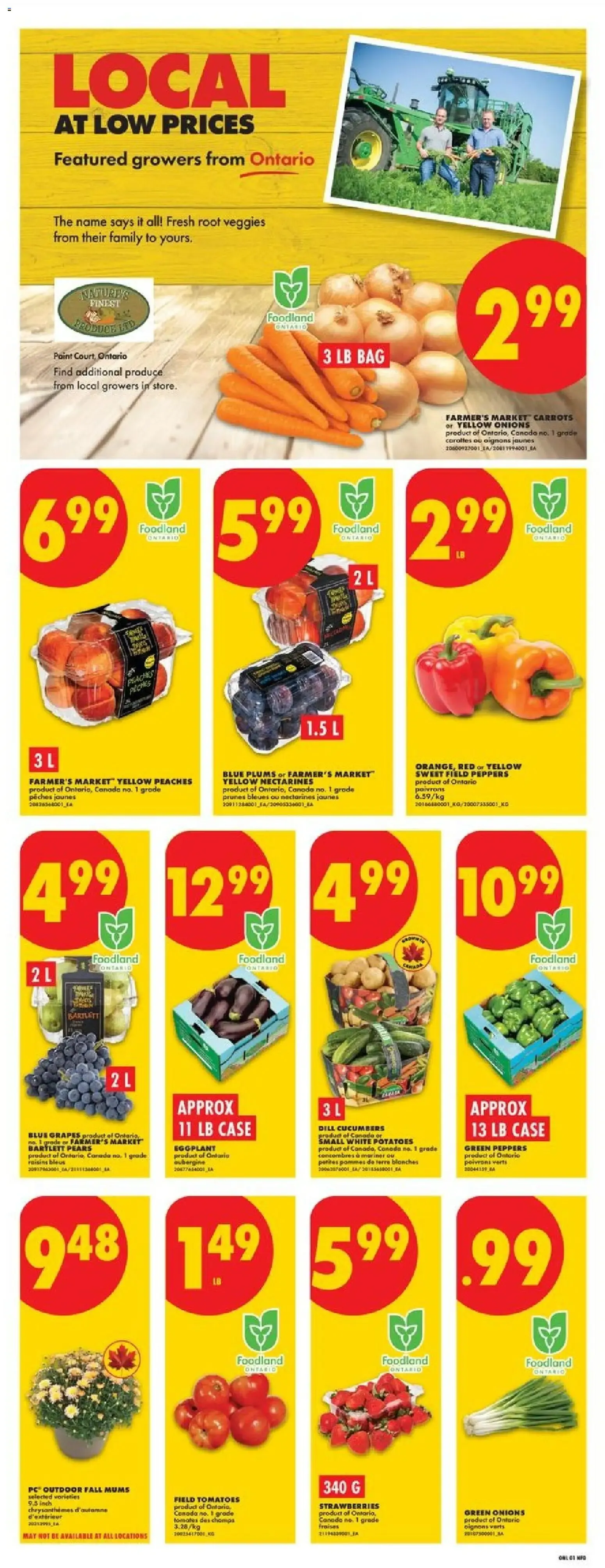 No Frills weekly flyer / circulaire from Aug 27, 2026 > weekly specials & deals from August 27 to September 2 2026 - flyer page 3