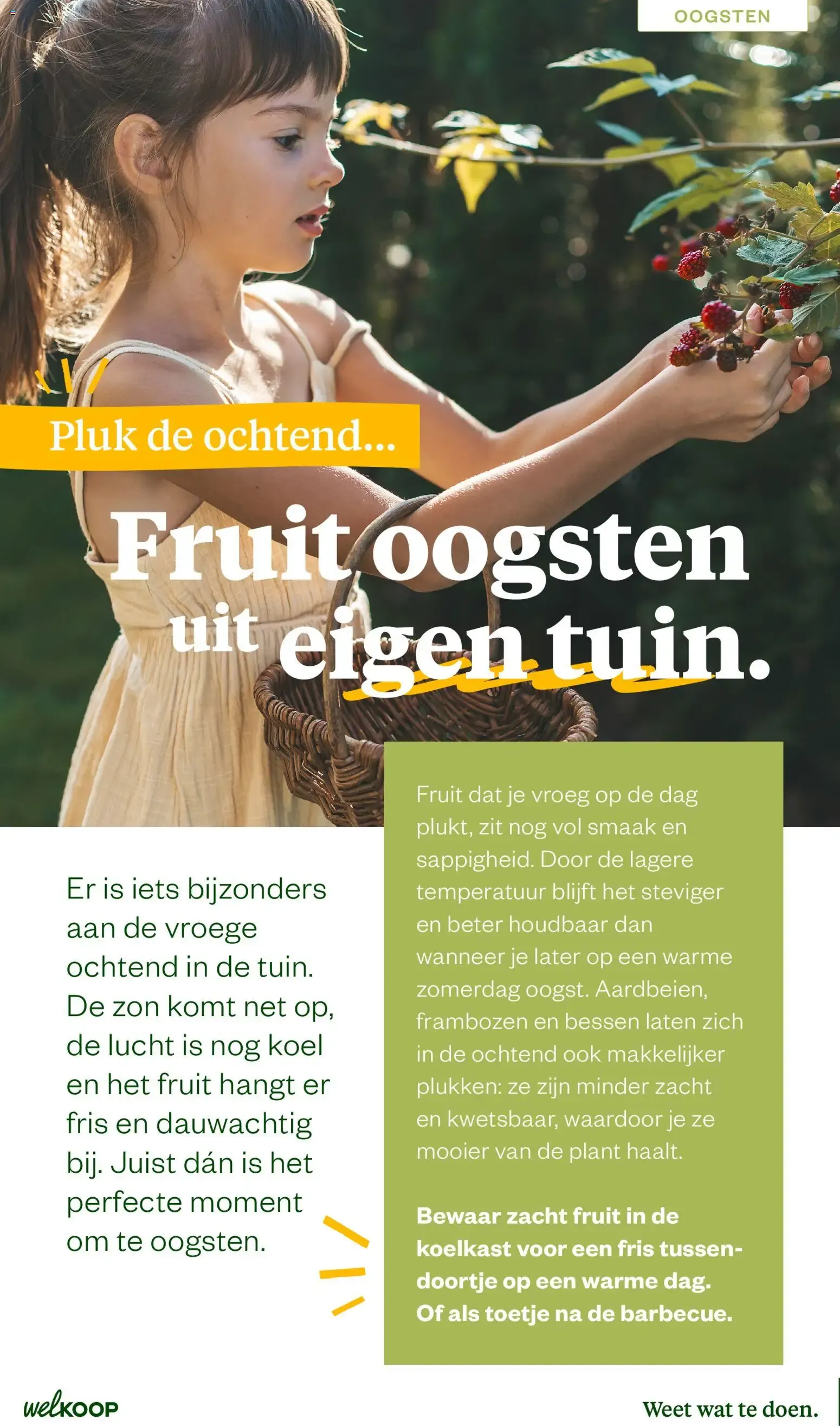 Welkoop Zomermagazine 2026 van 22 juni tot 23 augustus 2026 - Folder pagina 4