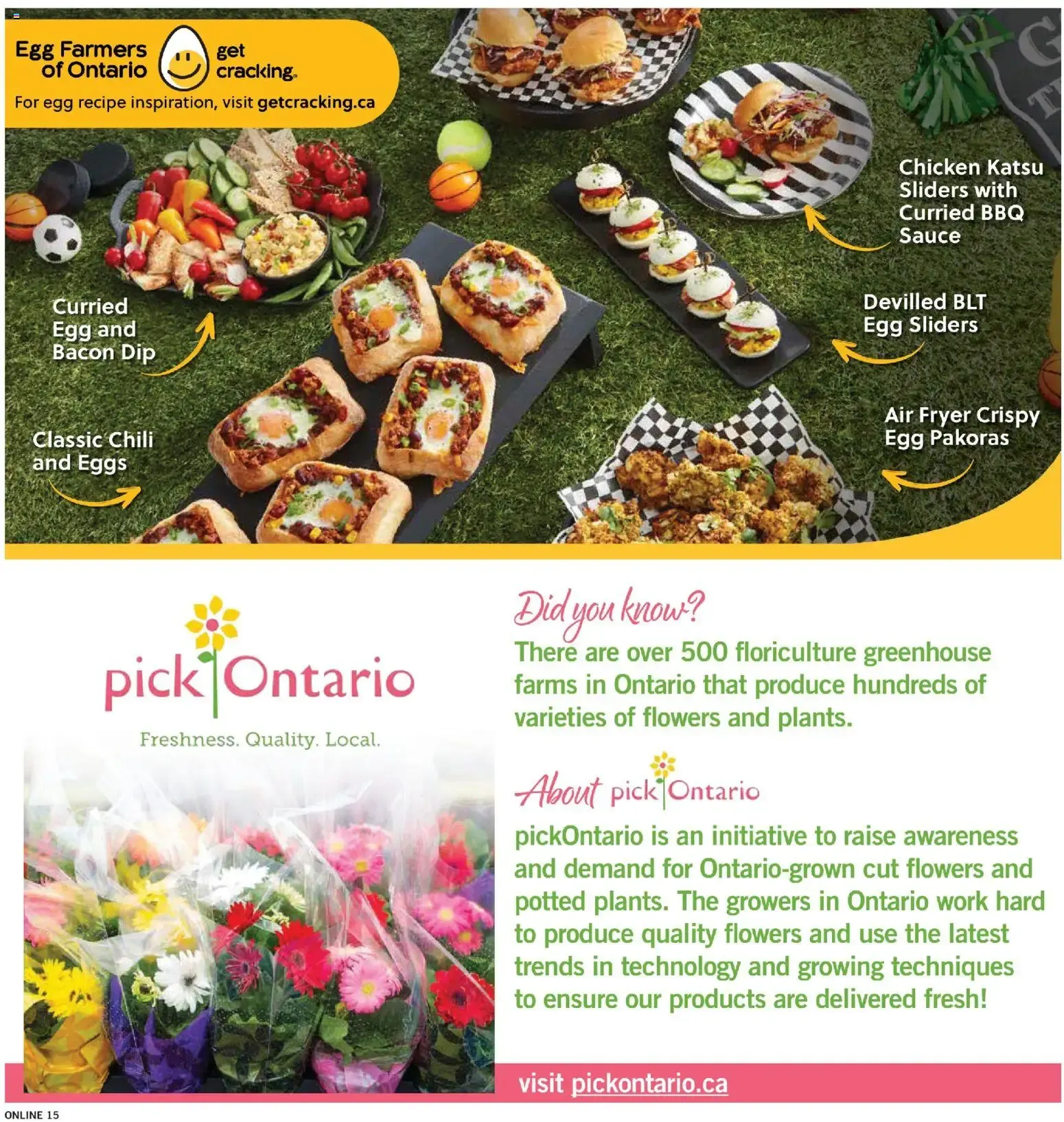 Fortinos weekly flyer / circulaire from August 6 to August 12 2026 - flyer page 15