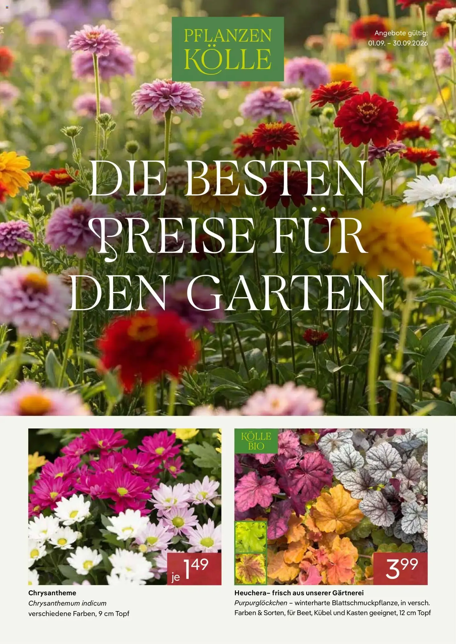 Pflanzen-Kölle Prospekt: Las mejores ofertas para el jardín von 1. September bis 30. September 2026 - Prospekt seite 1