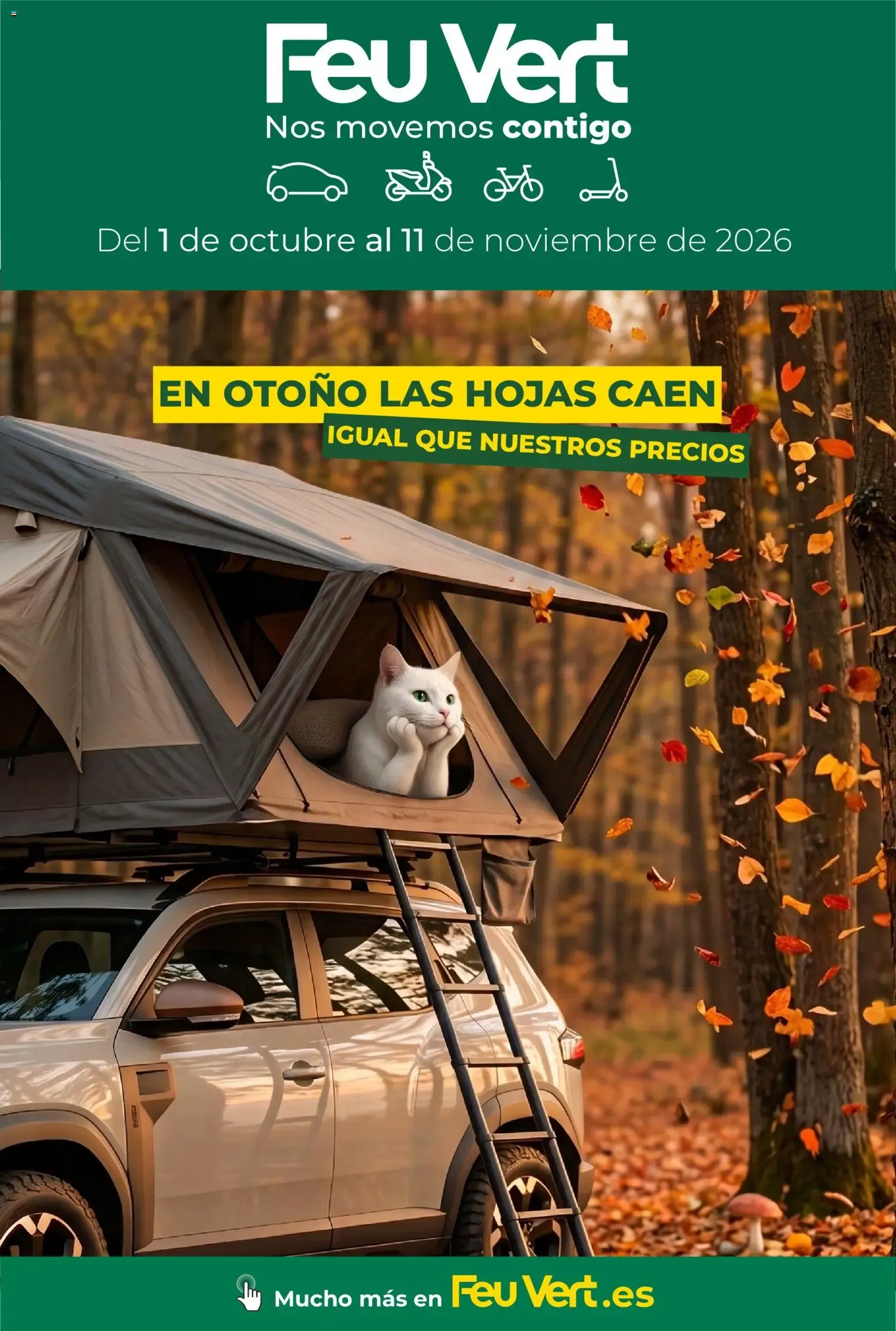 Catálogo de En otoño las hojas caen igual que nuestros precios 1 de octubre al 11 de noviembre 2026 - Página 1