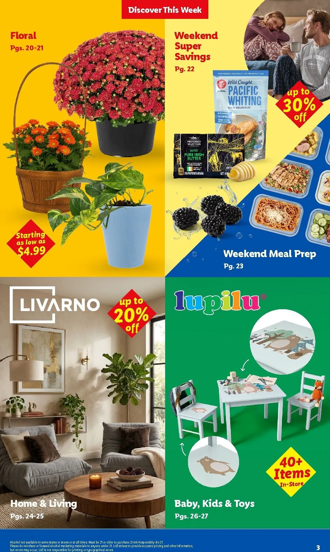 Weekly ad Current Lidl leaflet valid from Wednesday 10/14/2026 to Tuesday 10/20/2026 from October 14 to October 20 2026 - Page 3