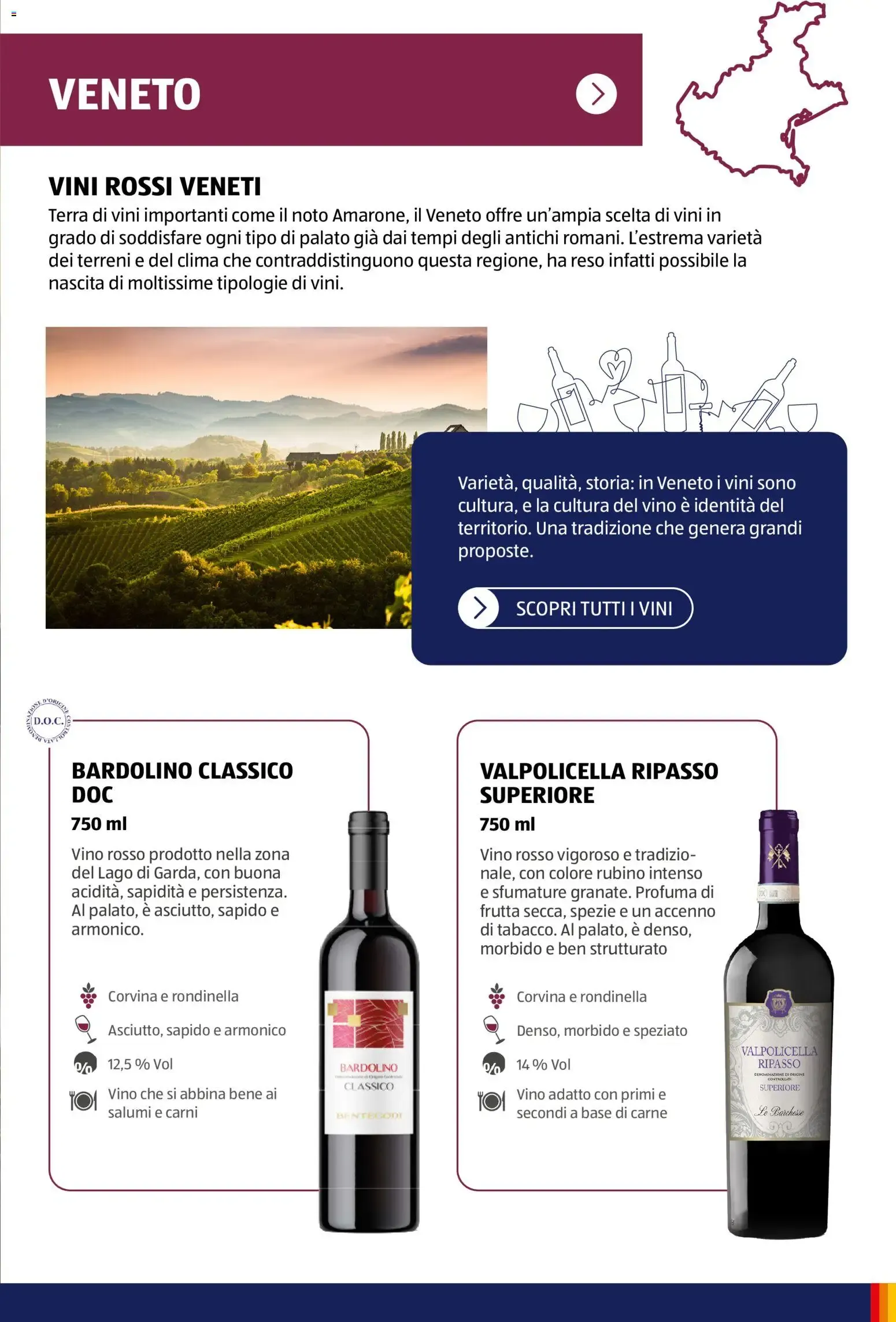 ALDI Vinoteca: Dalla Terra al Calice da 12 gennaio a 31 dicembre di 2026 - Pagina del volantino 19