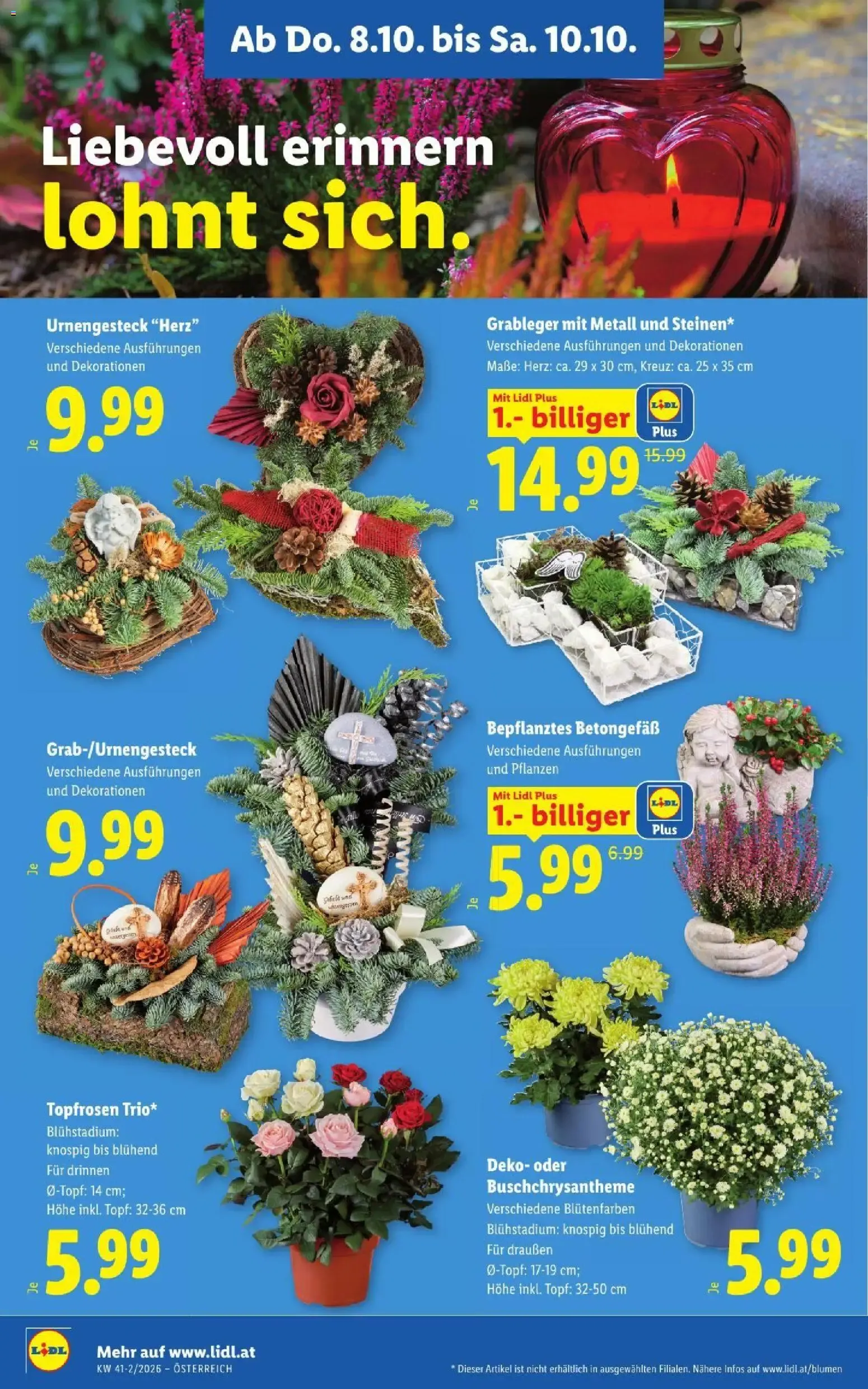 Lidl Aktion von 8. Oktober bis 10. Oktober 2026 - Flugblätt seite  30