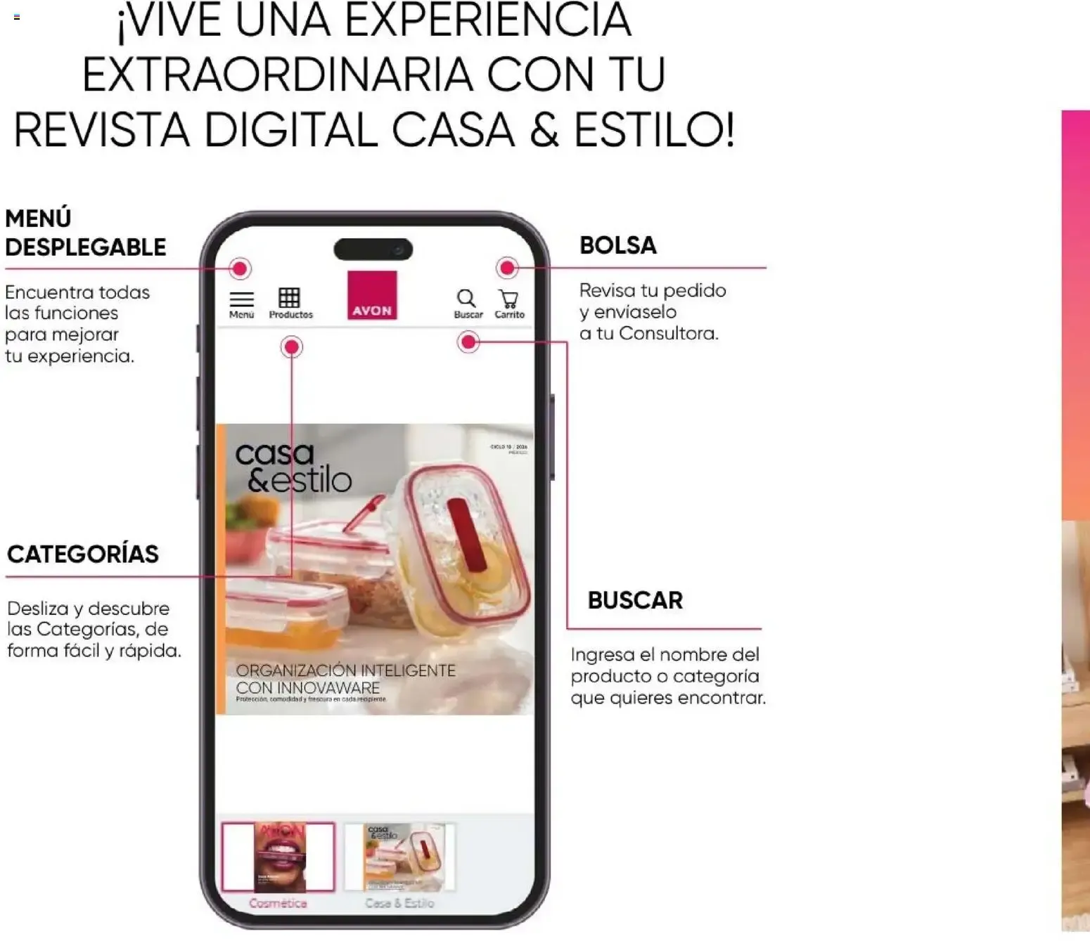 Catálogo de AVON CATÁLOGO PDF - AVON Casa & Estilo 12 2026 31 de julio al 9 de septiembre 2026 - Pagina 2