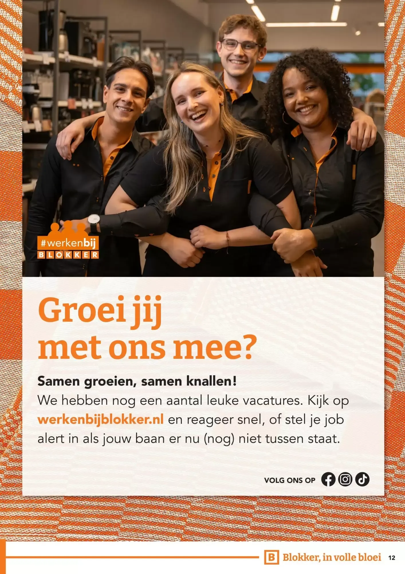 Blokker folder van 21 oktober tot 1 november 2026 - Folder pagina 12