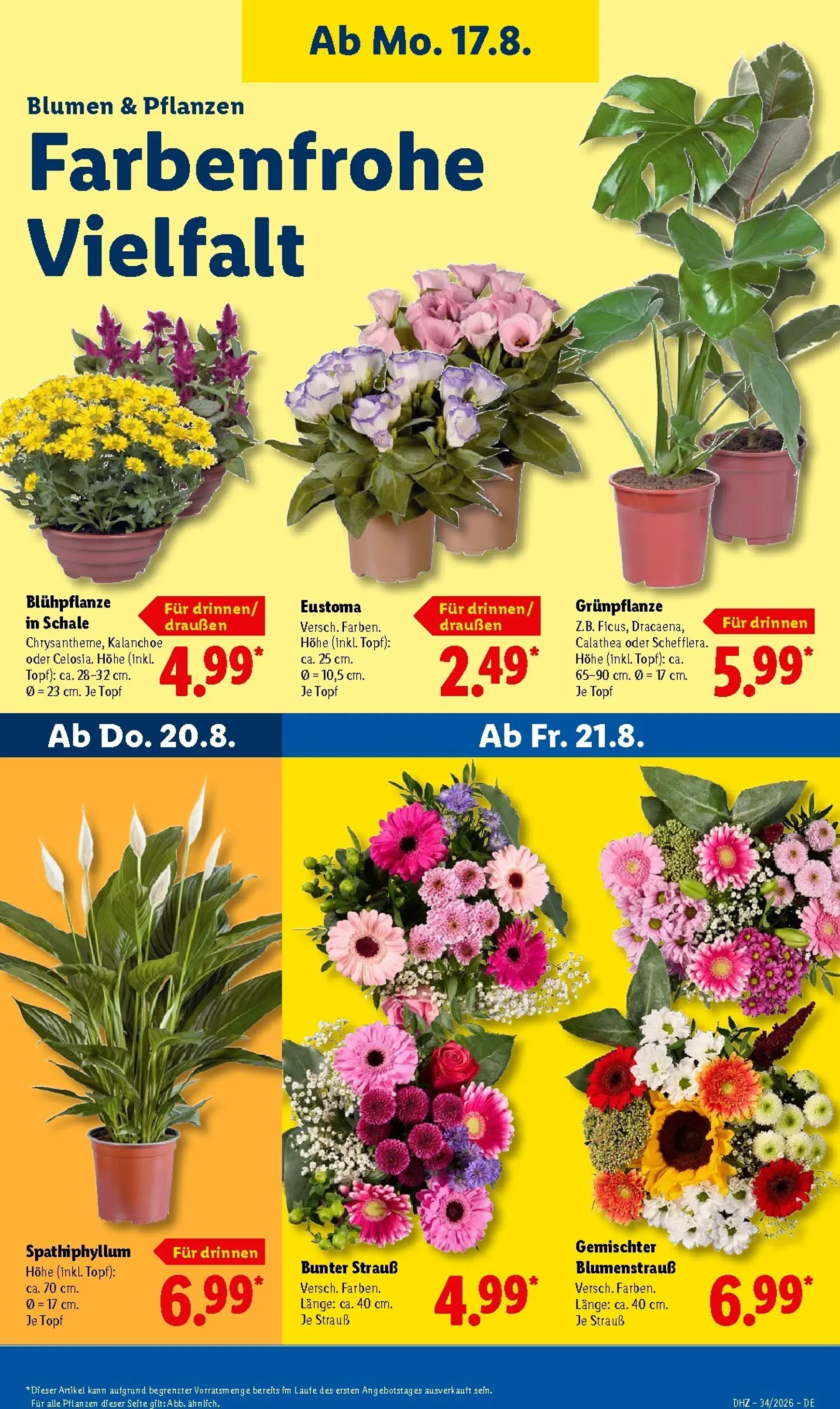 Lidl Prospekt nächste Woche – von Montag 17.08.2026 bis Samstag 22.08.2026 von 17. August bis 22. August 2026 - Prospekt seite 26