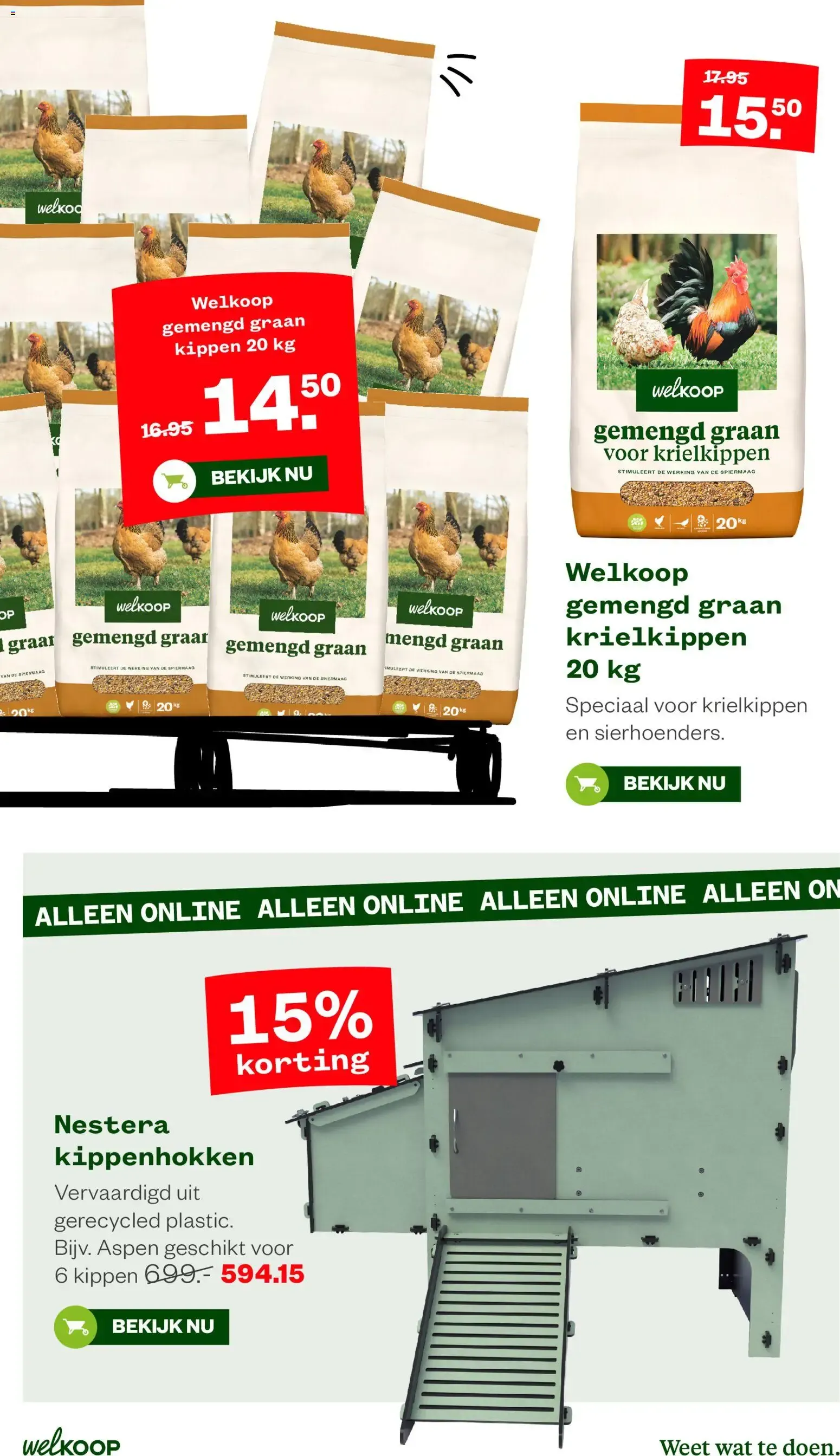 Welkoop Pallet voordeel van 24 augustus tot 6 september 2026 - Folder pagina 10