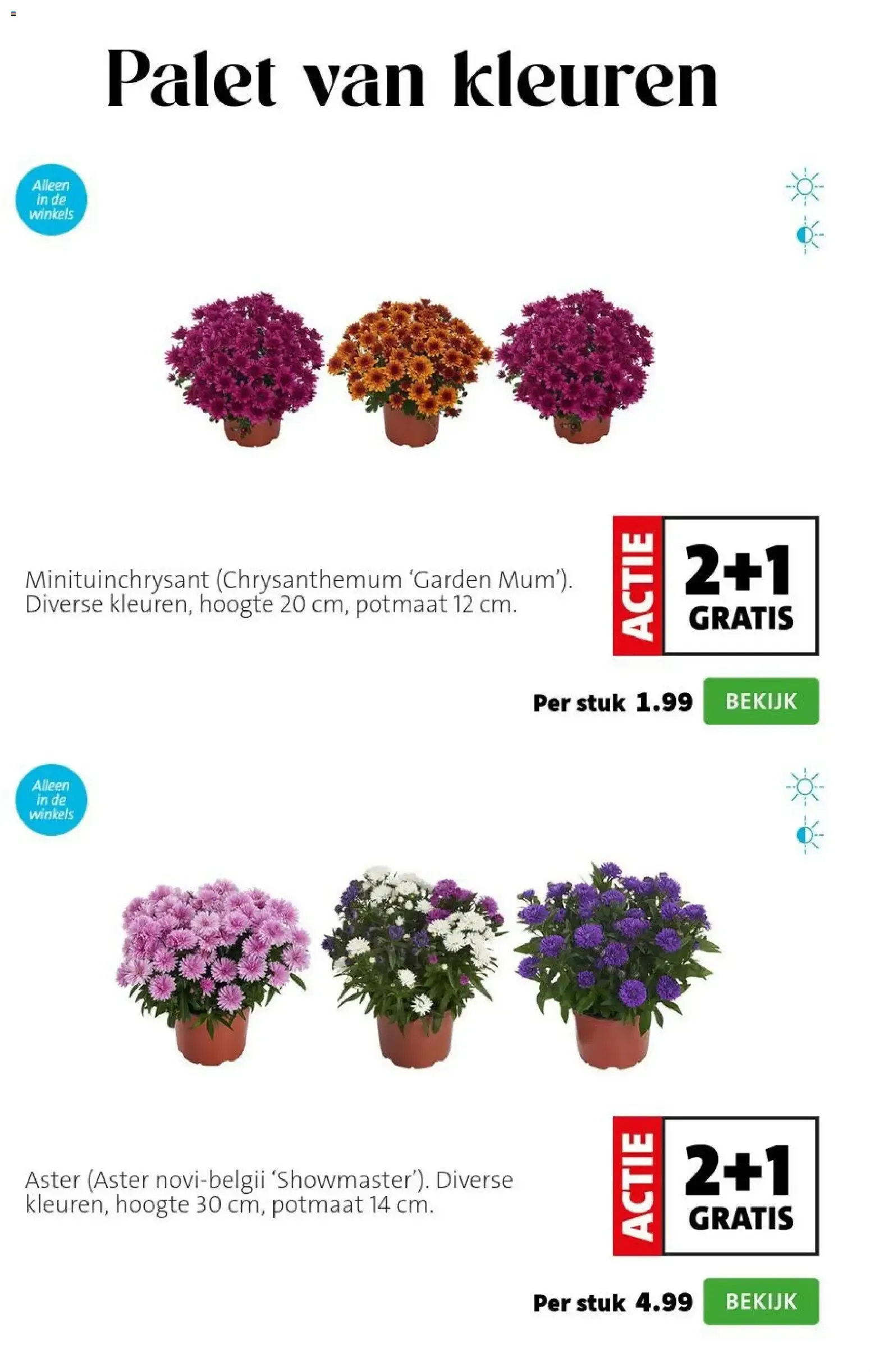 Intratuin Planten-feestje van 20 juli tot 26 juli 2026 - Folder pagina 3