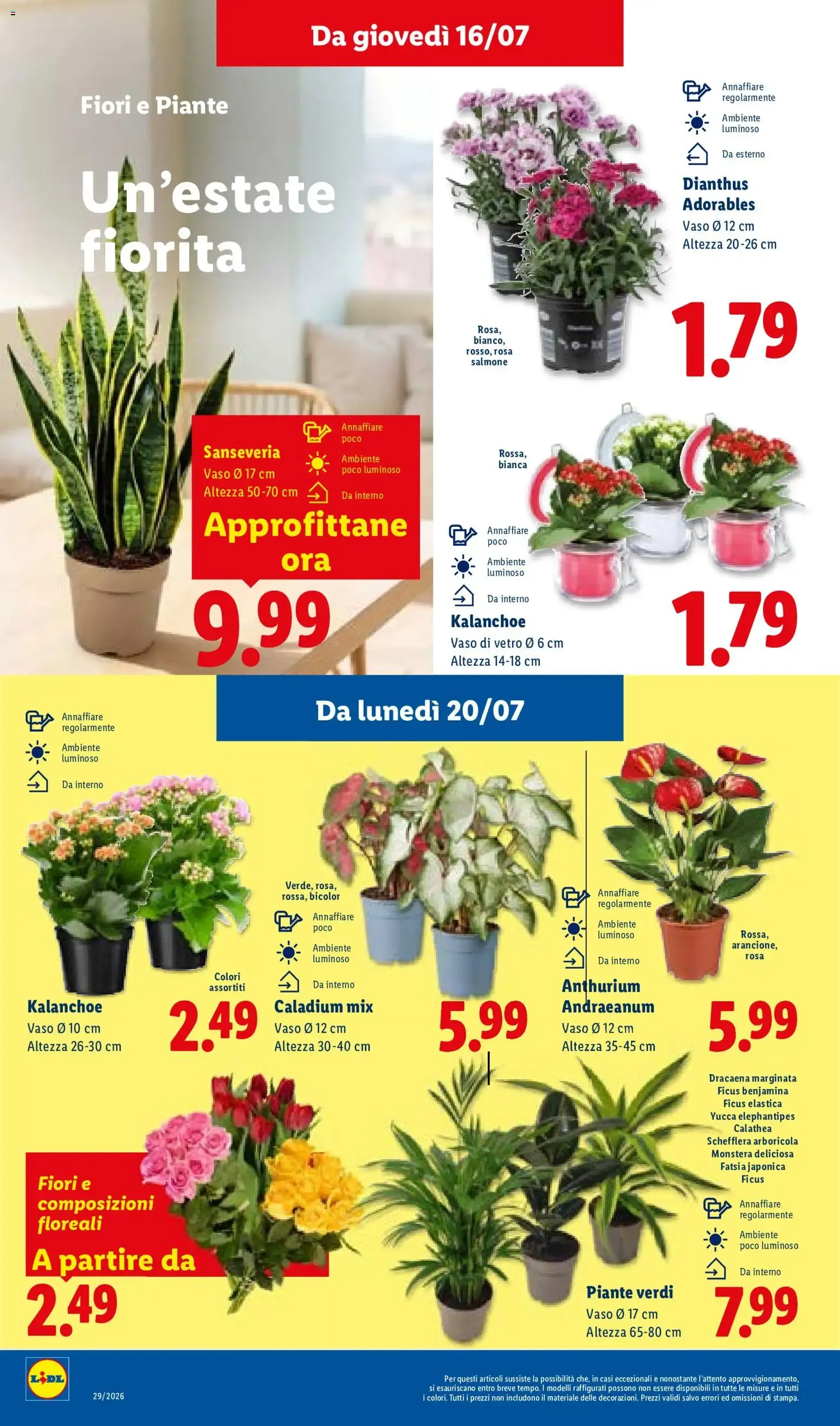 Lidl: L'estate del risparmio da 16 luglio a 22 luglio di 2026 - Pagina del volantino 39