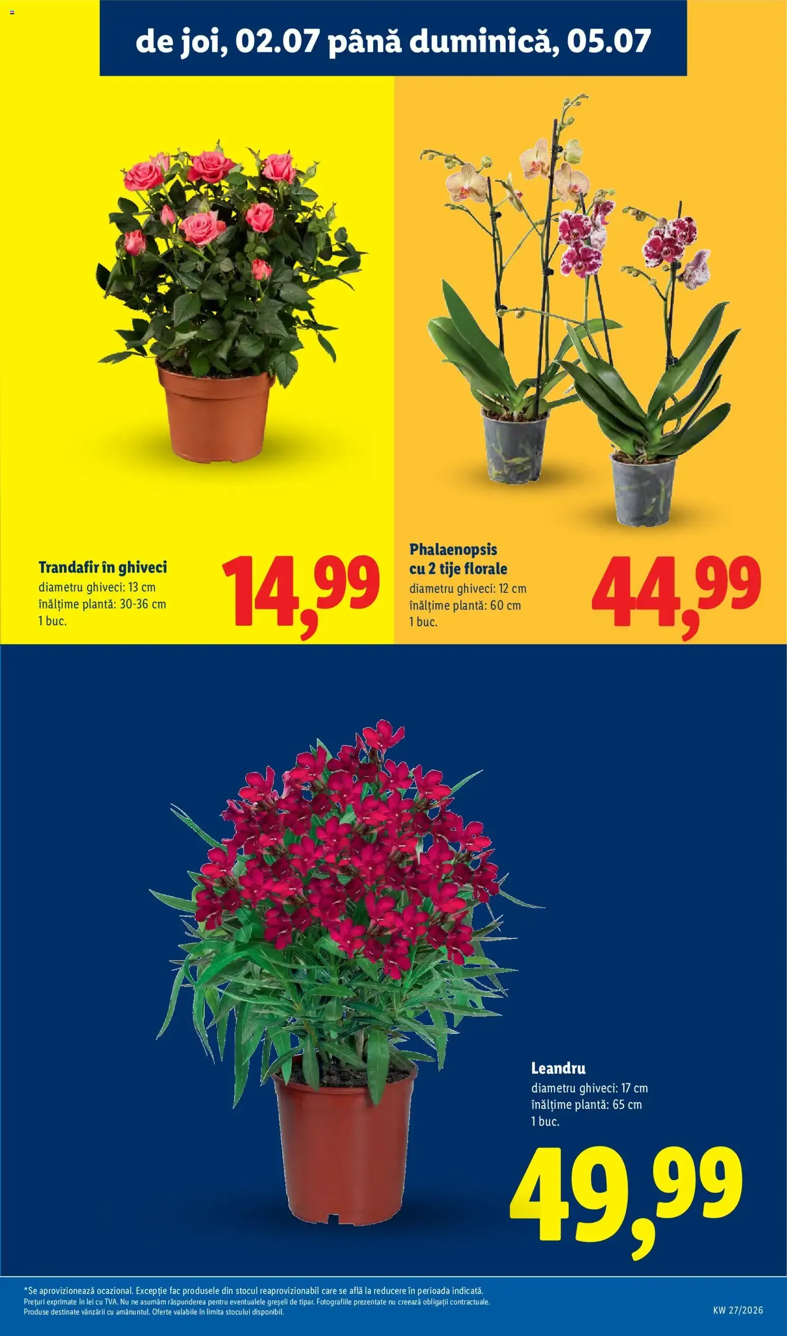 Catalog Catalog LIDL 29.06.2026 - Oferta și Revista online de la 29 iunie până la 5 iulie 2026 - Revista Pagina 57