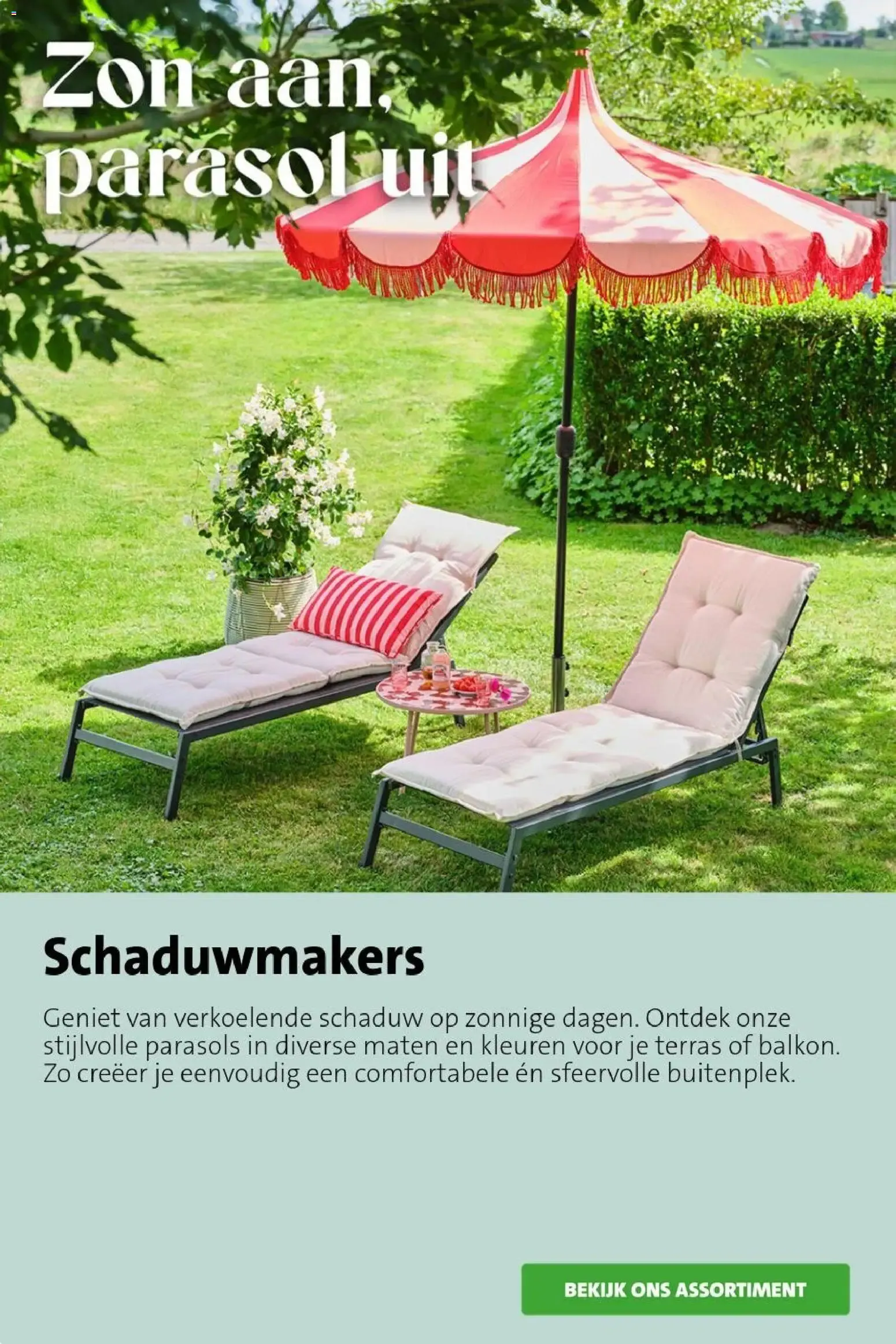 Bloeiend de zomer door van 6 juli tot 12 juli 2026 - Folder pagina 8