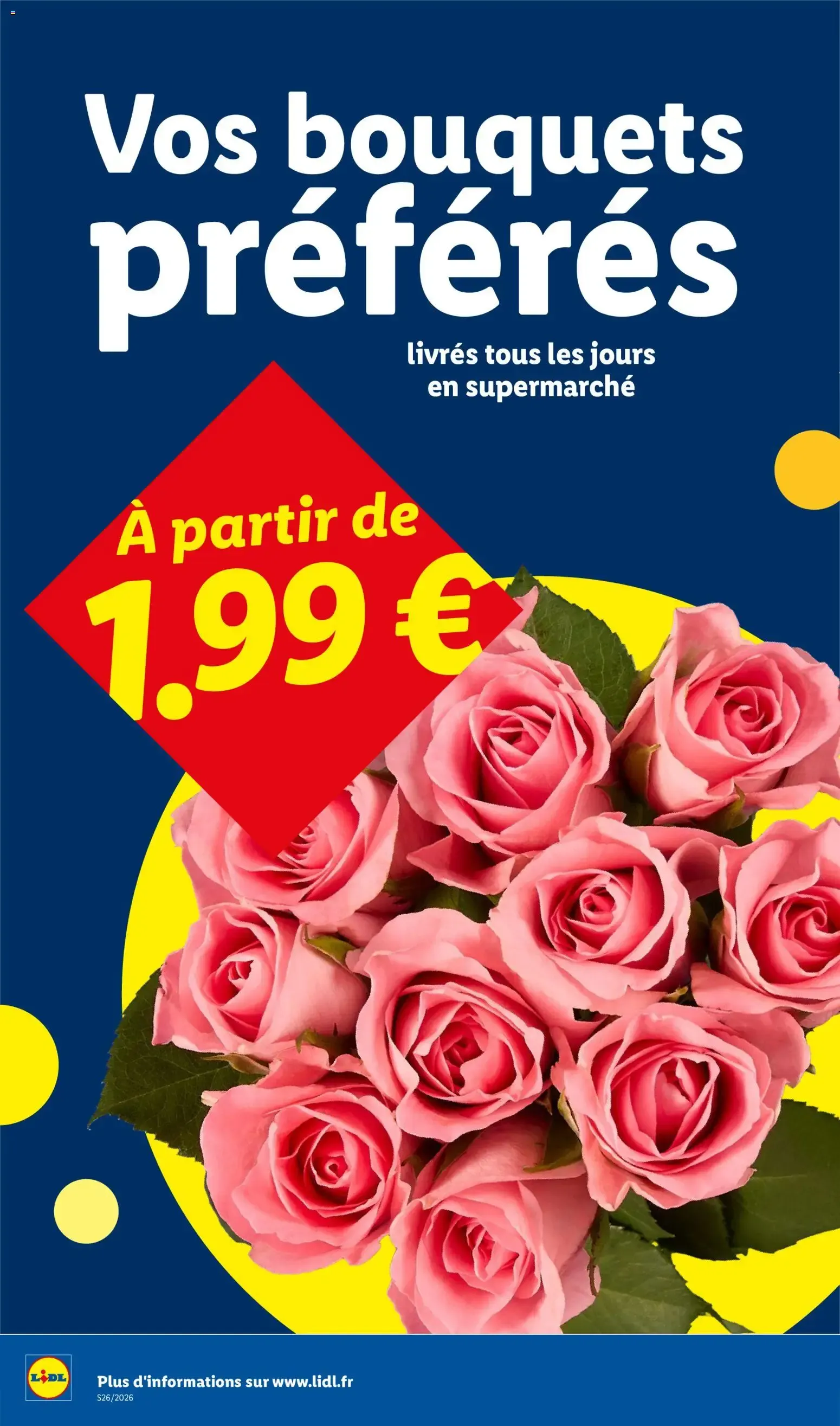 Catalogue LIDL à venir 25/06/2026 » Prospectus Juin du 25 juin au 1 juillet 2026 - Catalogue page 28