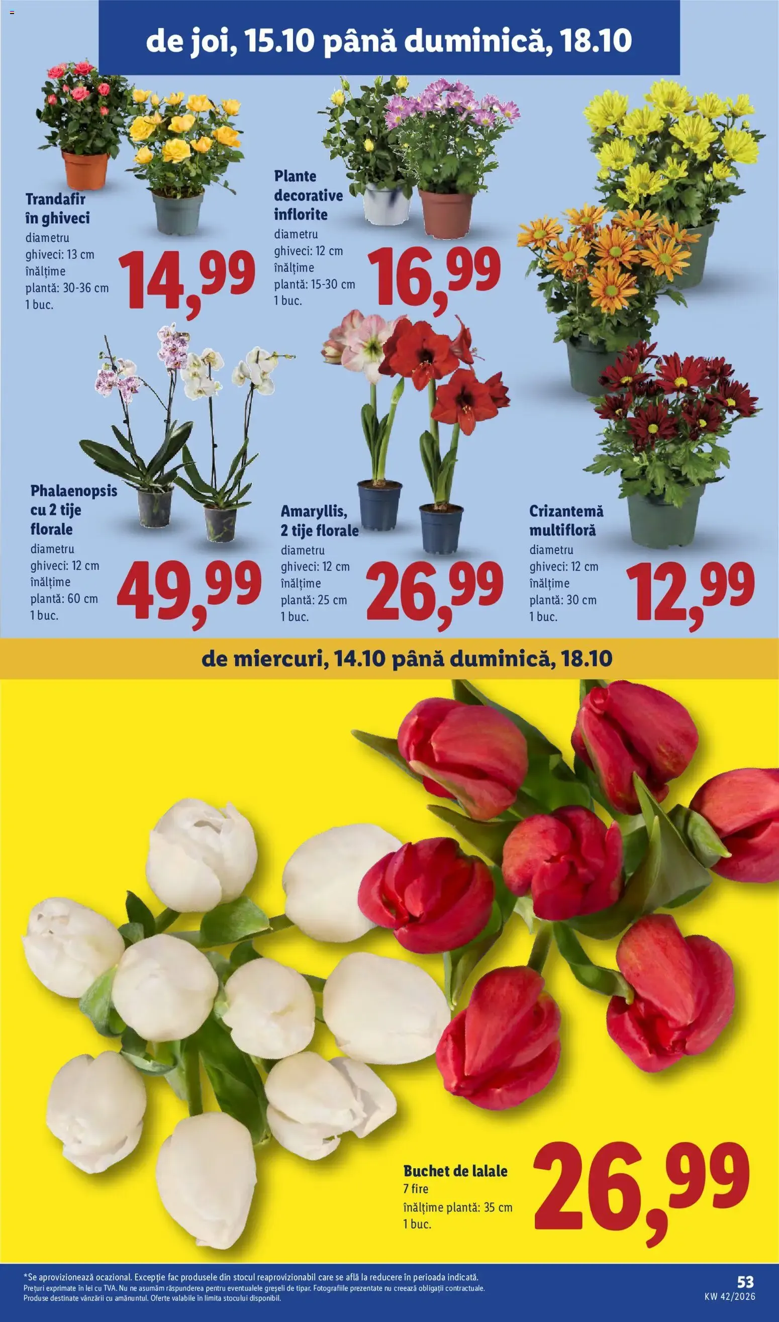 Catalog Catalog LIDL 12.10.2026 - Oferta și Revista online de la 12 octombrie până la 18 octombrie 2026 - Revista Pagina 53