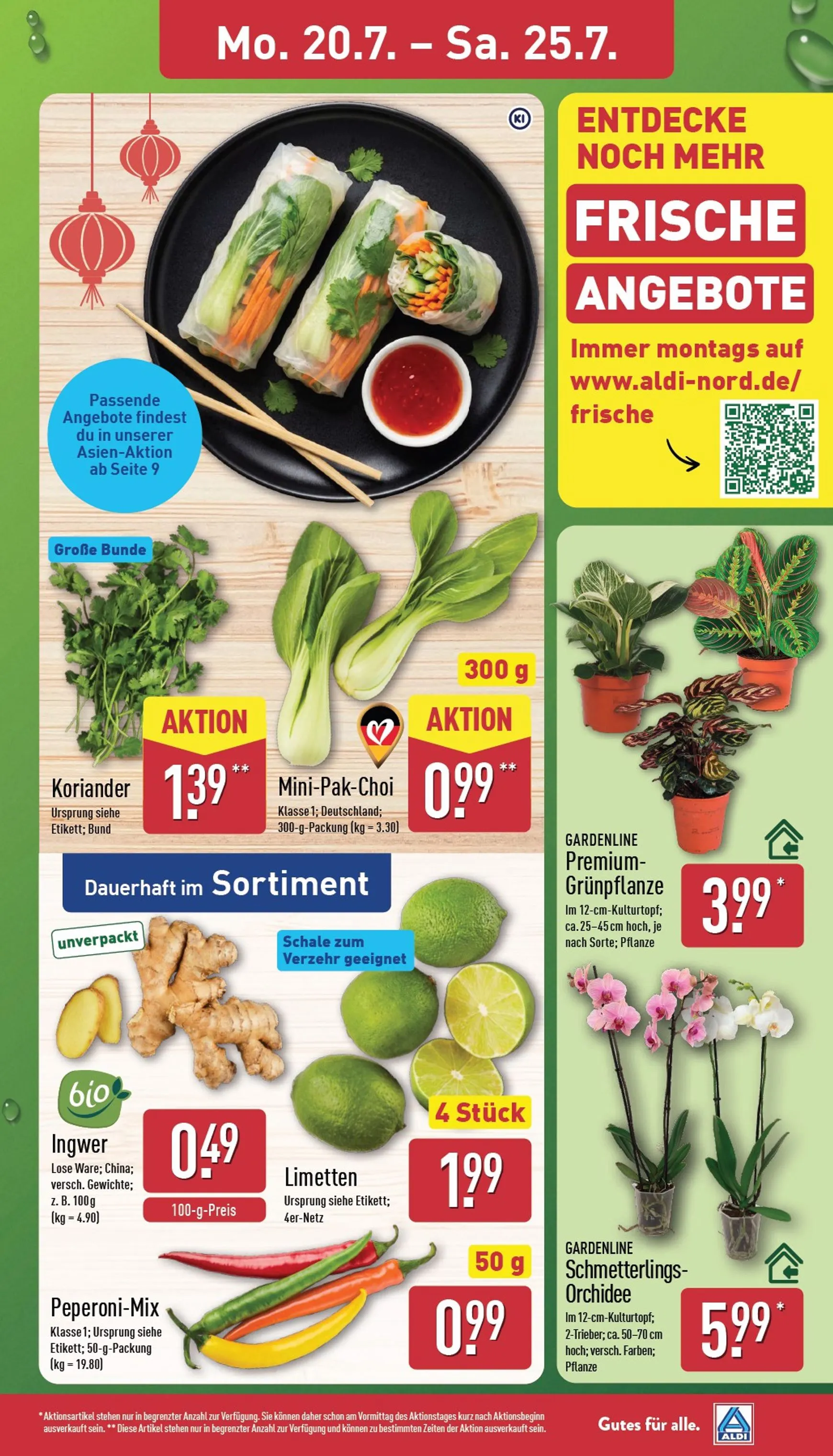 ALDI NORD Prospekt nächste Woche – von Montag 20.07.2026 bis Samstag 25.07.2026 von 20. Juli bis 25. Juli 2026 - Prospekt seite 3
