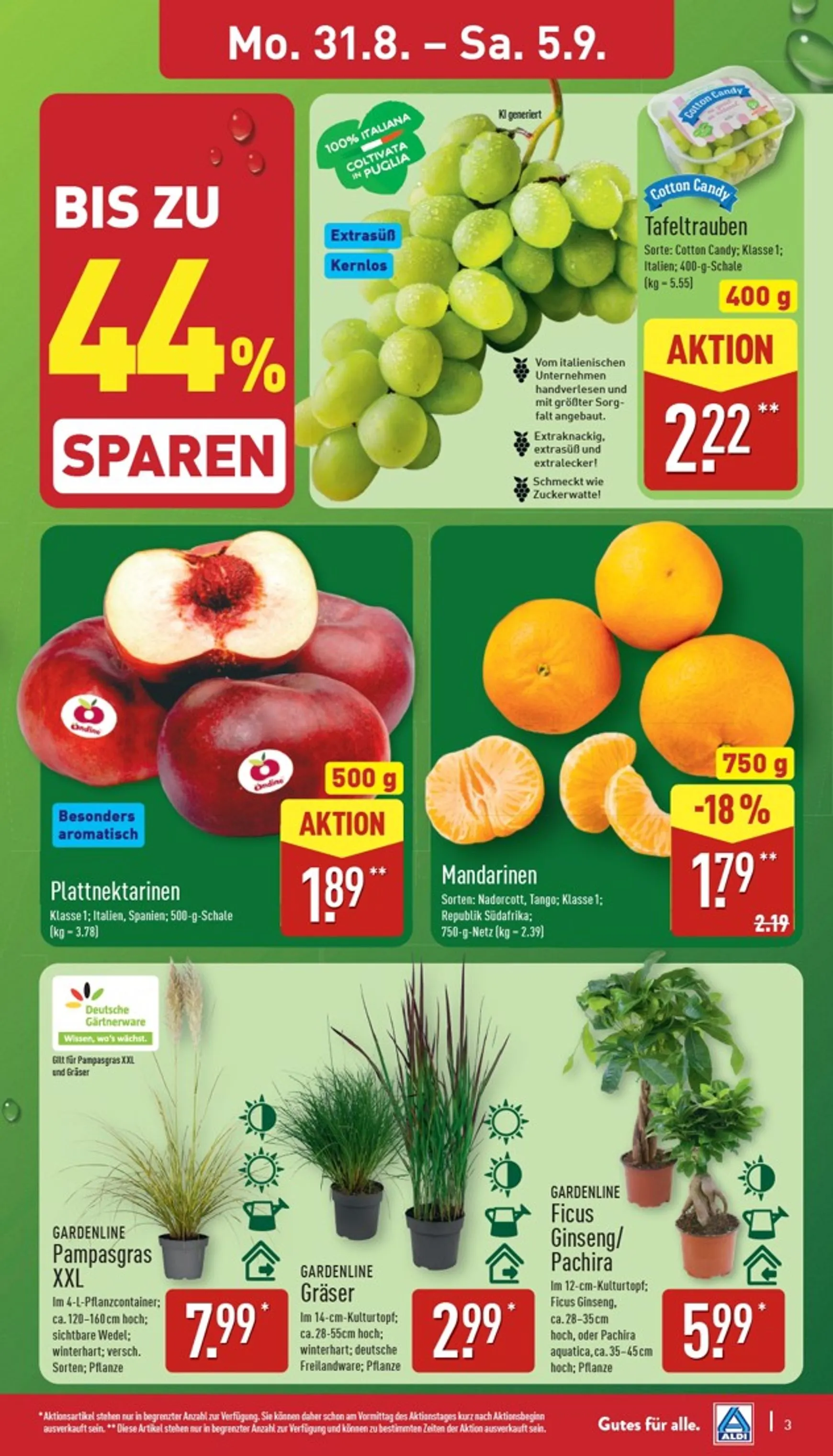 ALDI NORD Prospekt nächste Woche – von Montag 31.08.2026 bis Samstag 05.09.2026 von 31. August bis 5. September 2026 - Prospekt seite 3