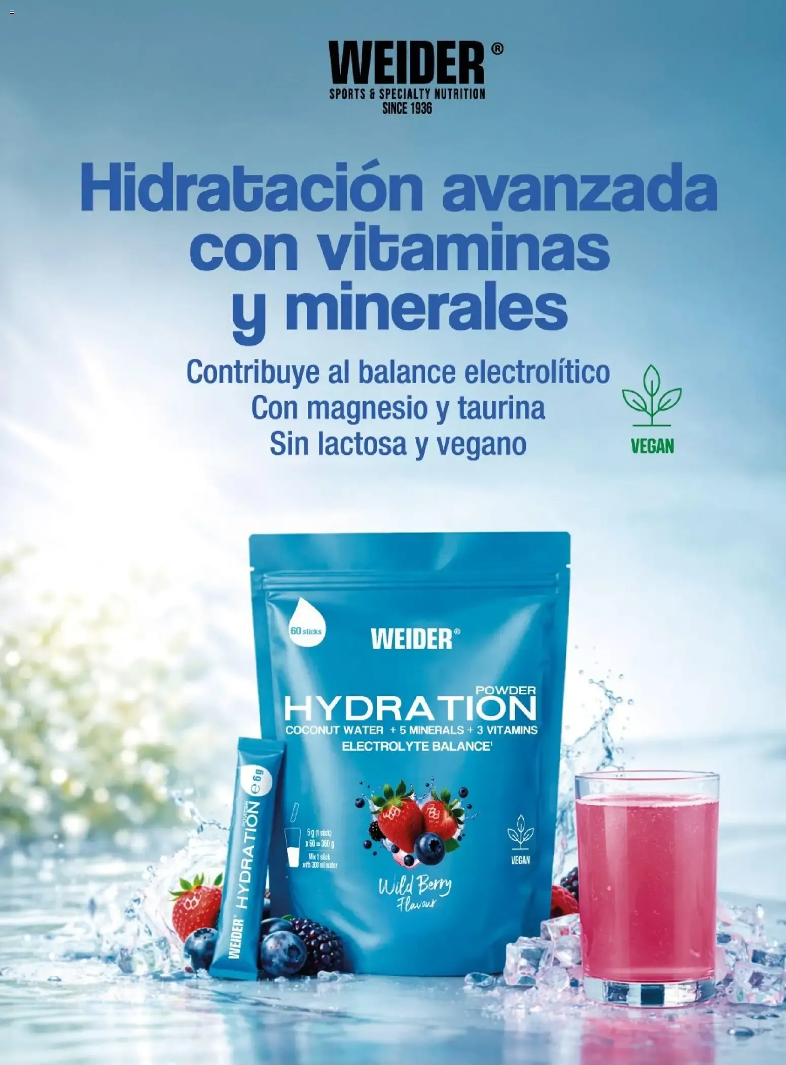 Catálogo de COSTCO Connection 15 de junio al 31 de octubre 2026 - Página 15