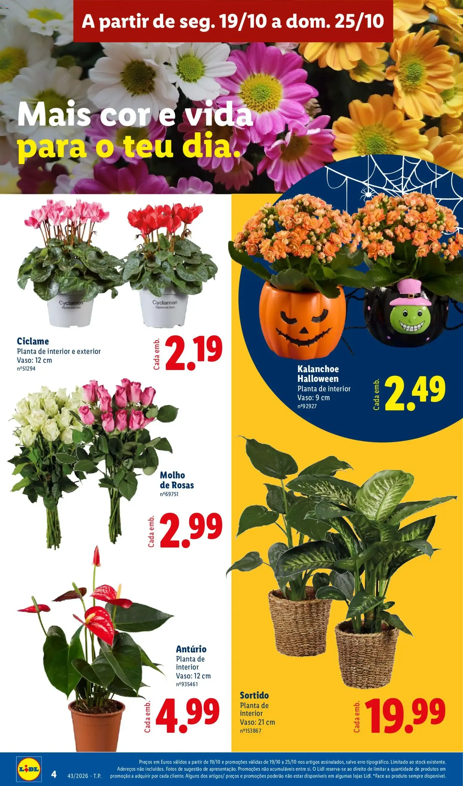 Folheto Lidl Folheto Poupança de 19 de outubro até 25 de outubro 2026 - Pagina 4