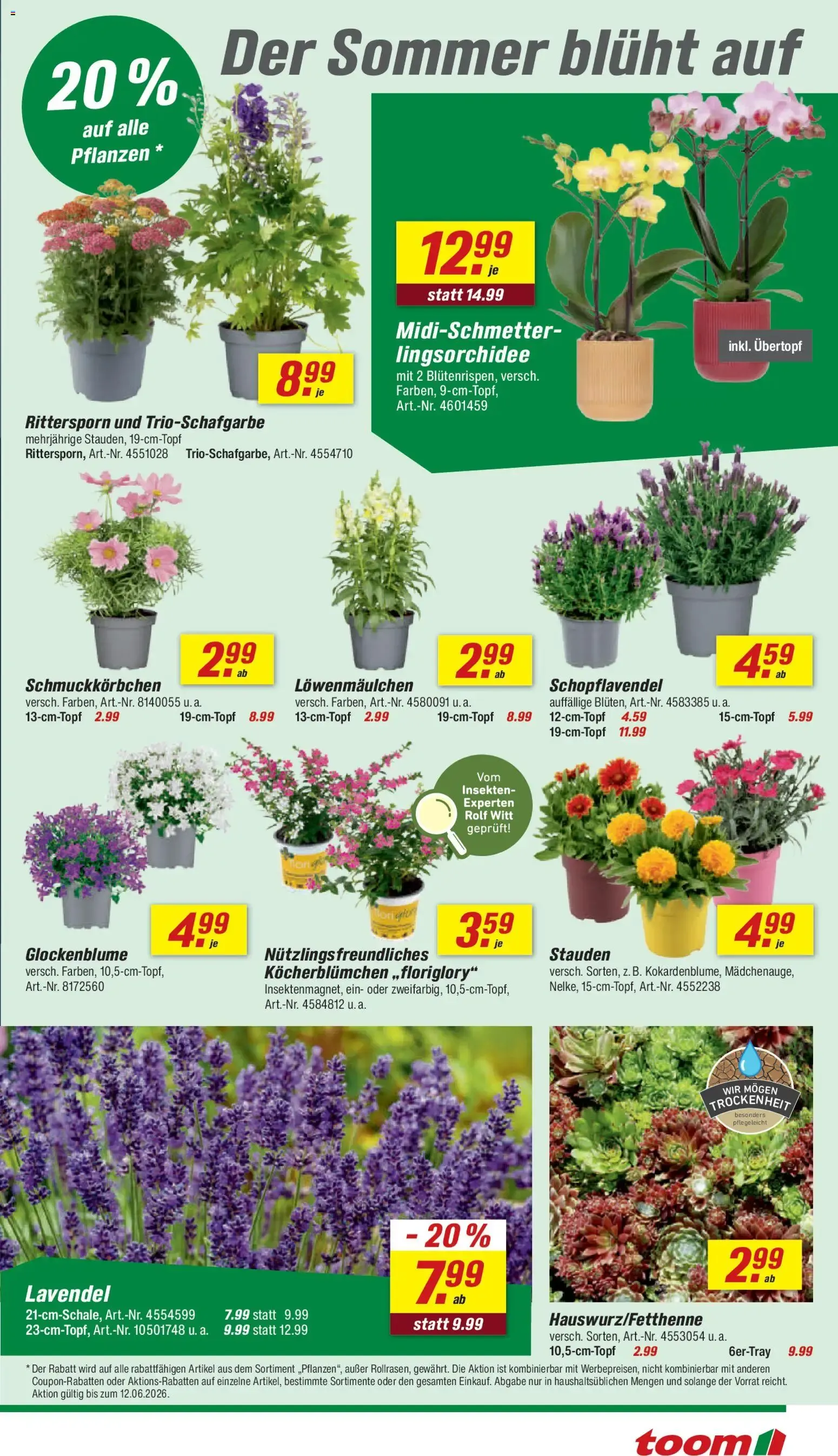 Toom Baumarkt Prospekt vom 06.06.2026 – Angebote online von 6. Juni bis 12. Juni 2026 - Prospekt seite 5