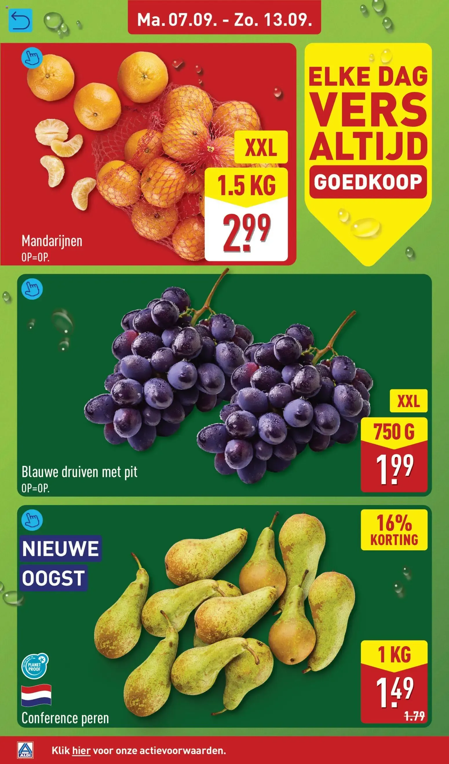 Aldi folder vanaf 07-09-2026 (volgende, deze week) van 7 september tot 13 september 2026 - Folder pagina 4