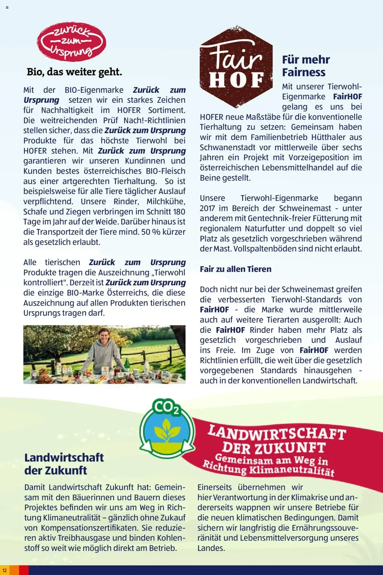 HOFER - GUTES MORGEN! HEUTE FÜR MORGEN von 2. Oktober bis 2. Oktober 2026 - Flugblätt seite 12