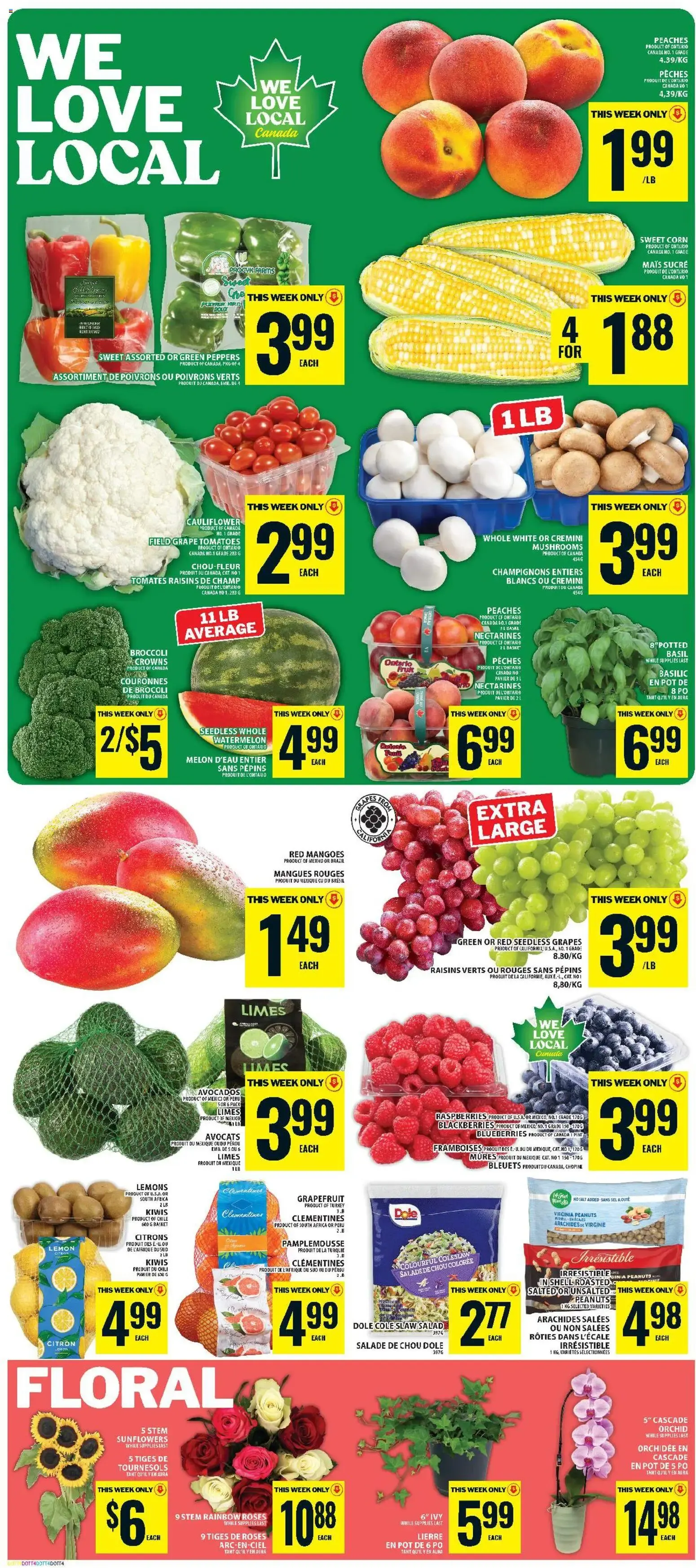 Food Basics weekly flyer / circulaire from Aug 13, 2026 > weekly specials & deals from August 13 to August 19 2026 - flyer page 3
