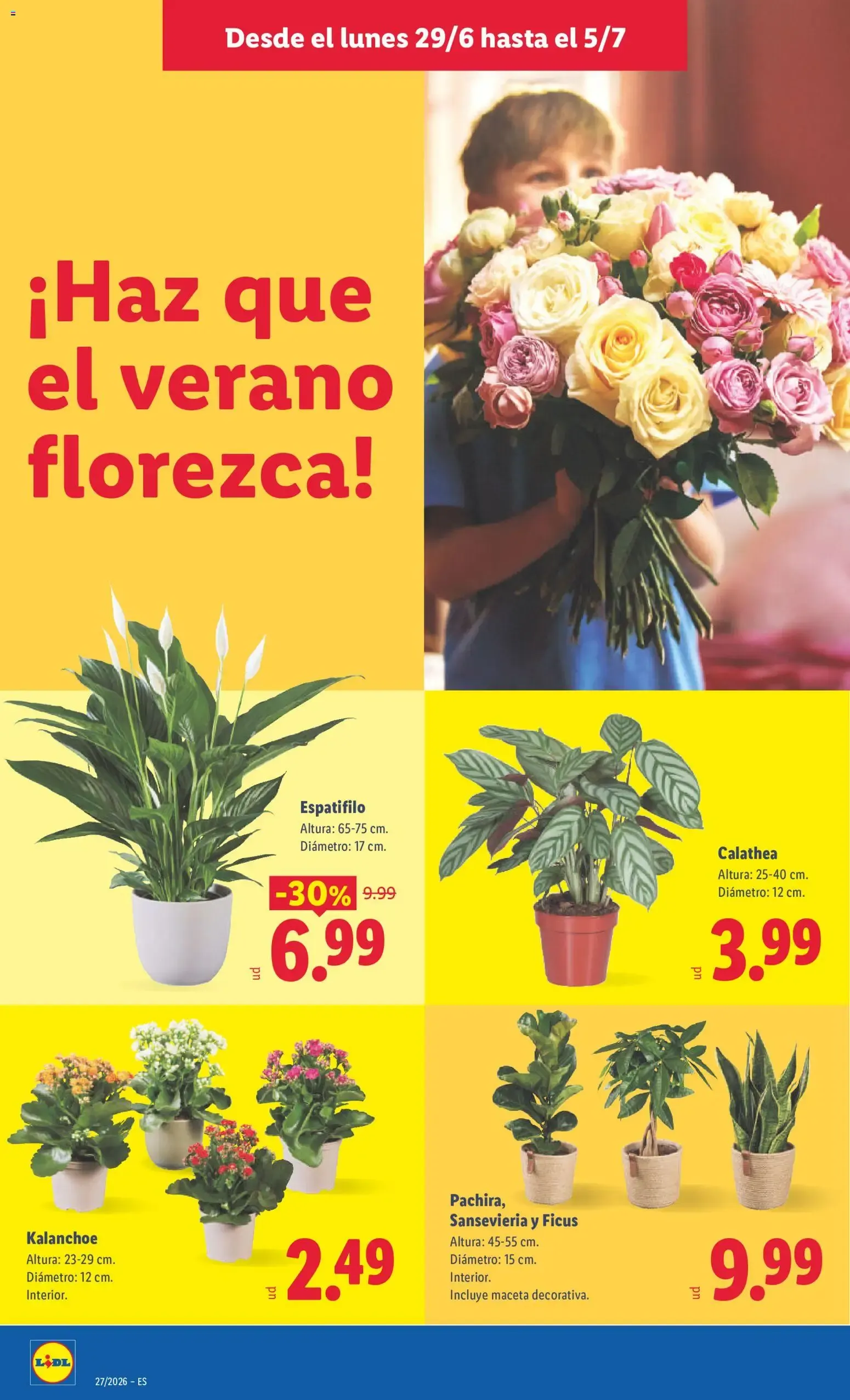 Catálogo de Con Lidl Plus acumula puntos y llévate premios extra 1 de julio al 5 de julio 2026 - Página 44