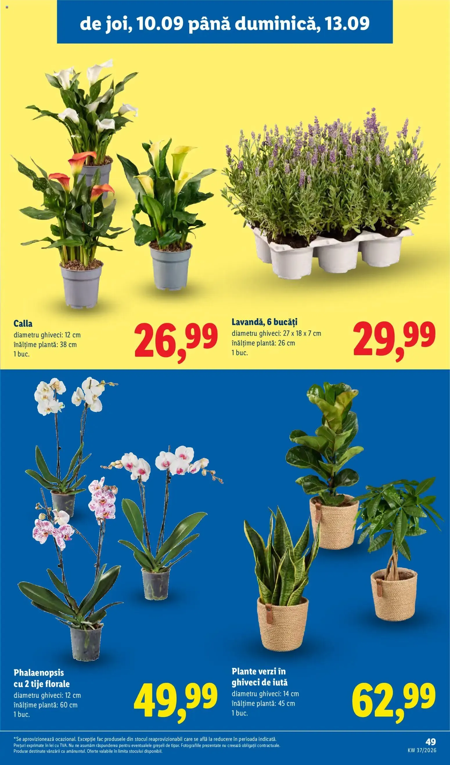 Catalog Catalog LIDL 07.09.2026 - Oferta și Revista online de la 7 septembrie până la 13 septembrie 2026 - Revista Pagina 49