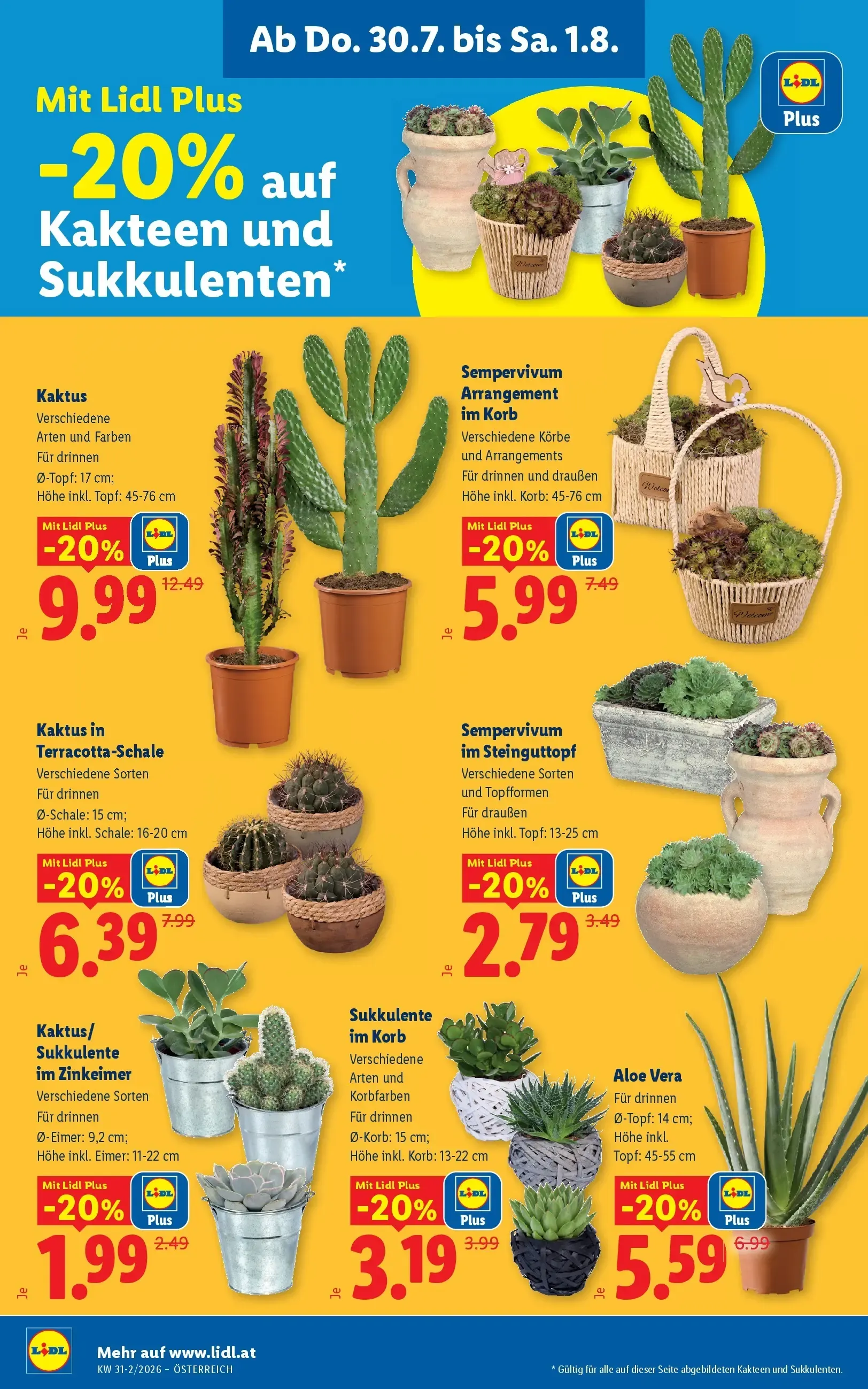 Lidl Aktion von 30. Juli bis 1. August 2026 - Flugblätt seite  26
