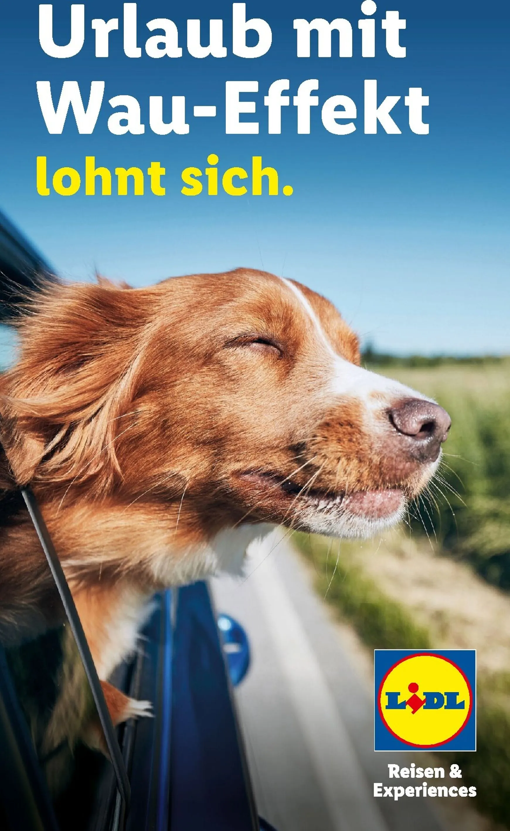 Lidl - Urlaub mit Wau-Effekt lohnt sich Prospekt – von Mittwoch 29.07.2026 bis Montag 31.08.2026 von 29. Juli bis 31. August 2026 - Prospekt seite 1