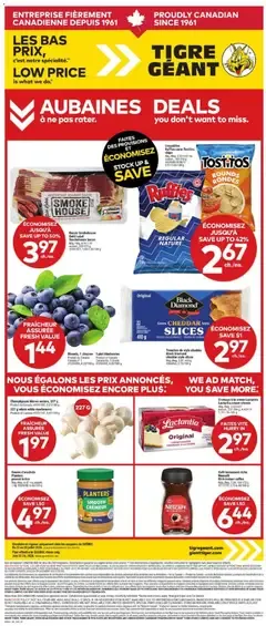 Giant Tiger Flyer starting Jul 22, 2026 (flyer for this week) from July 22 to July 28 2026 - flyer page 1