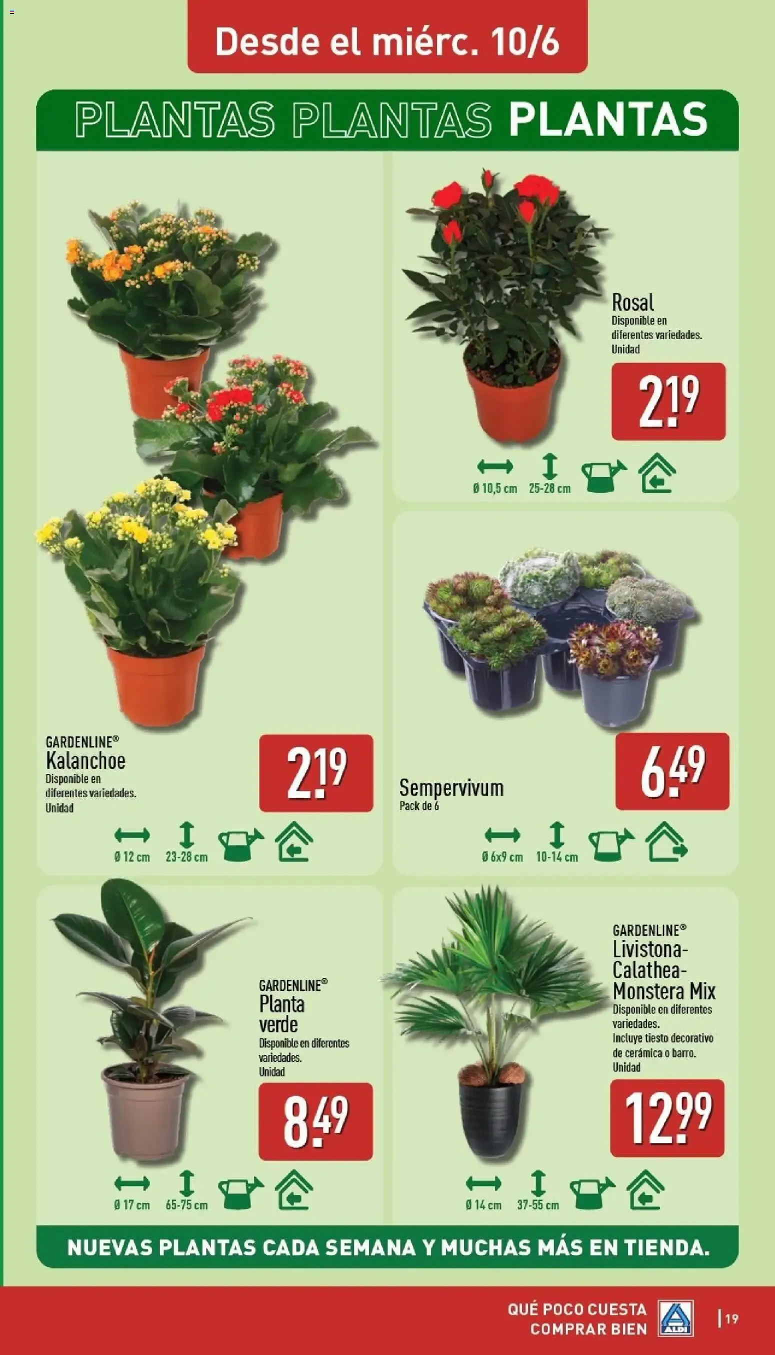 Catálogo de El Veranazo de Aldi 8 de junio al 14 de junio 2026 - Página 19