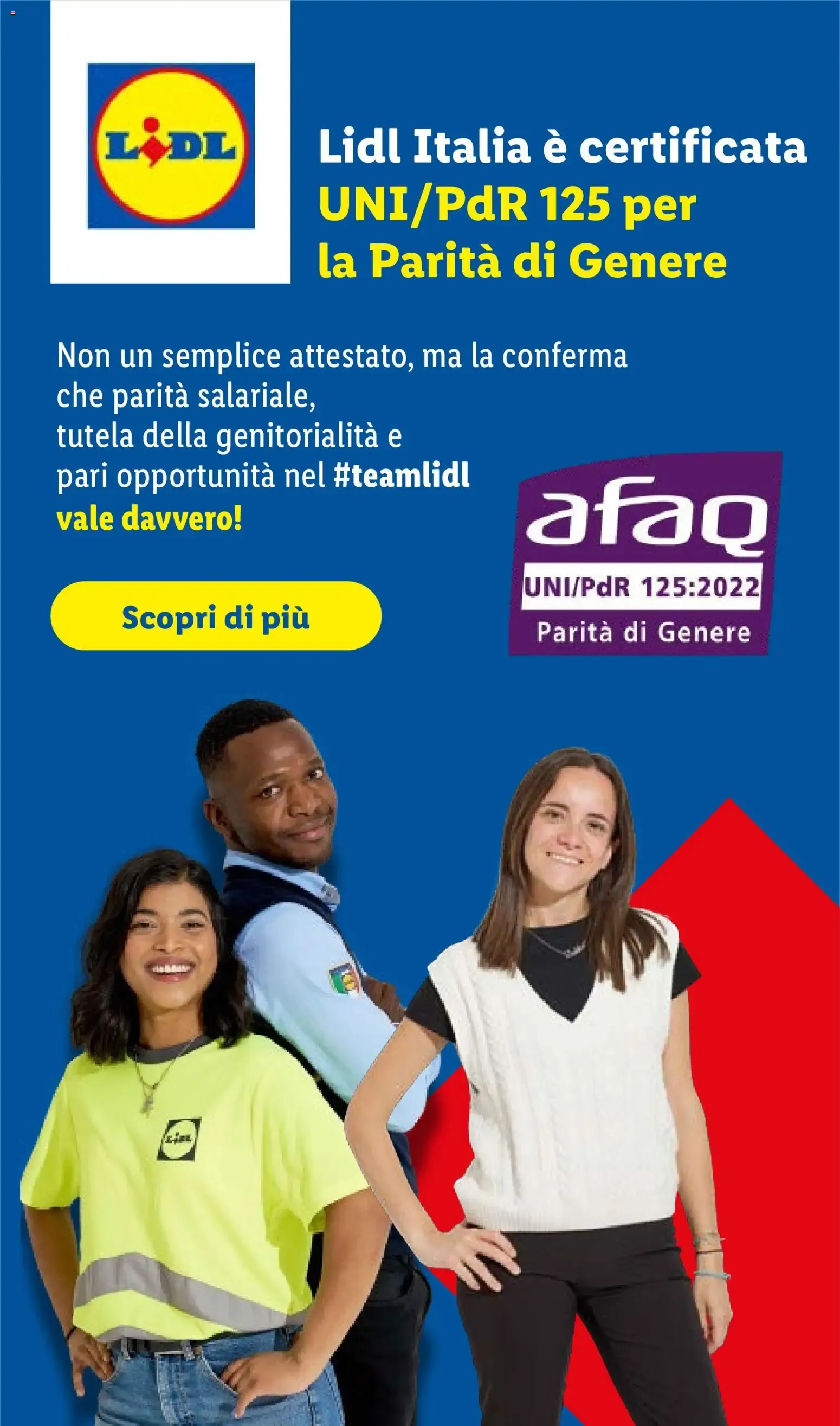 Lidl: Piccoli Prezzi, Grande Qualità da 22 ottobre a 28 ottobre di 2026 - Pagina del volantino 51
