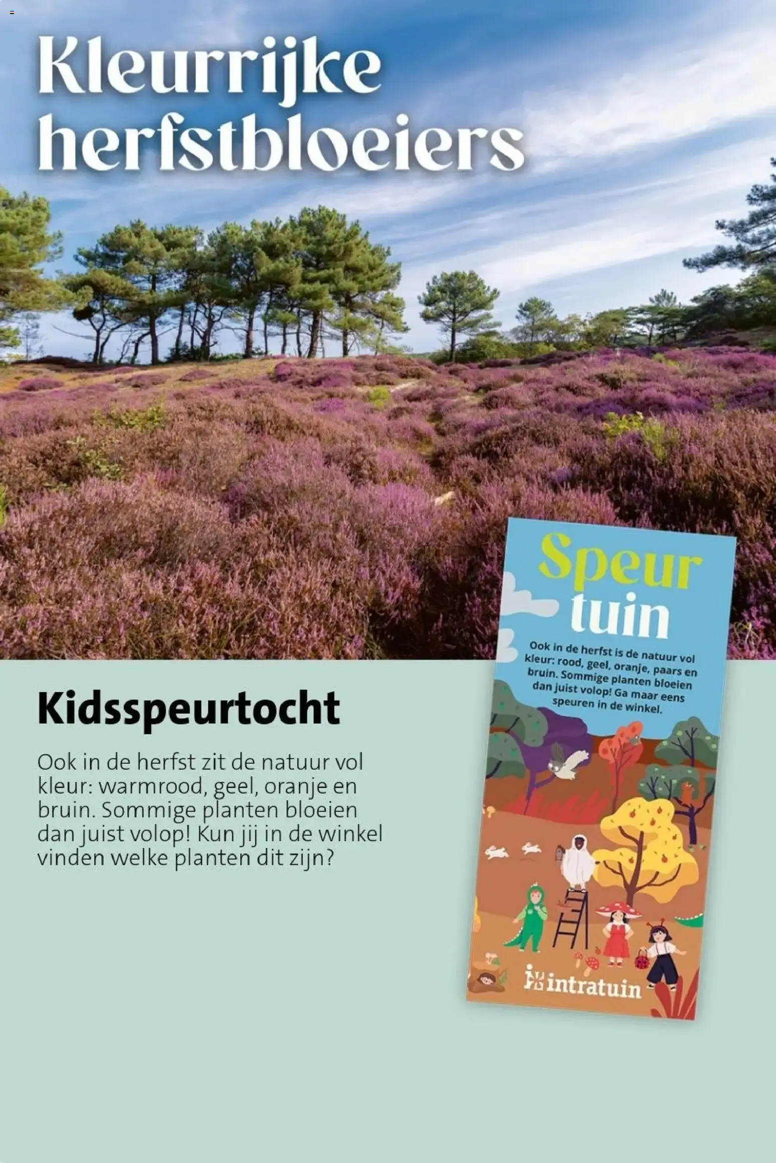 Planten-statement van 31 augustus tot 6 september 2026 - Folder pagina 16