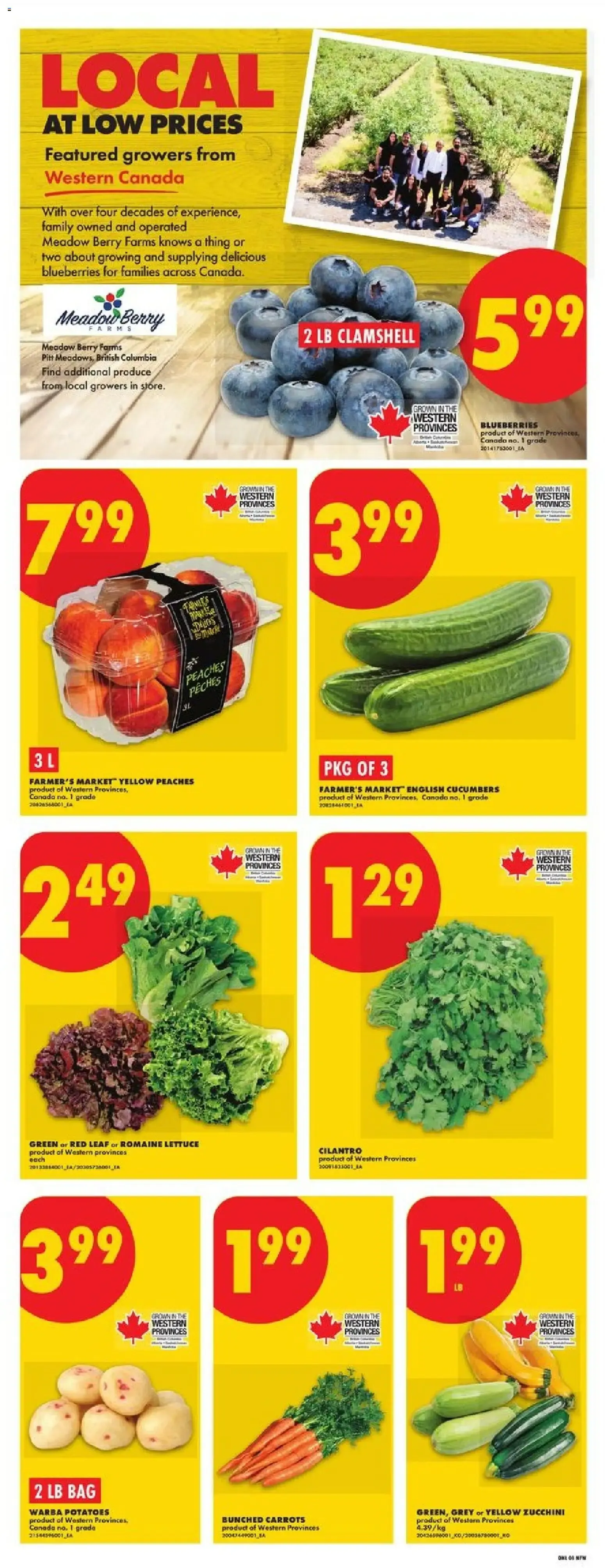 No Frills Flyer Prices Effective Thursday, August 6 to Wednesday, August 12, 2026 from August 6 to August 12 2026 - flyer page 3