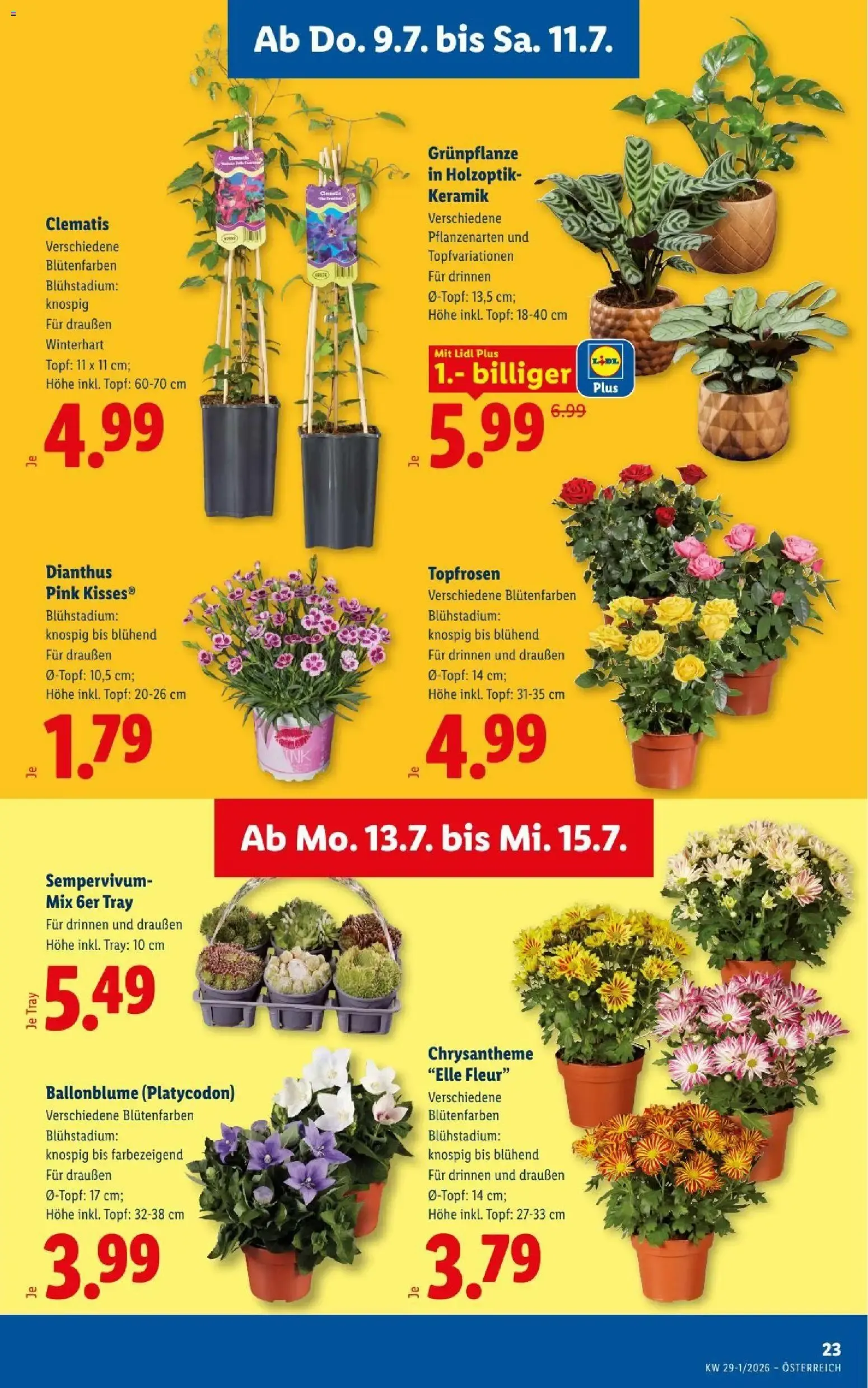 Lidl - Flugblatt ab 09.07.2026 - Angebote ab donnerstag von 9. Juli bis 11. Juli 2026 - Flugblätt seite 27