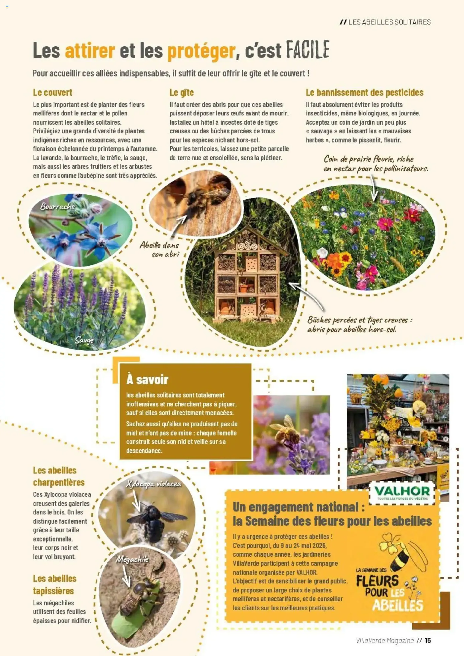 VillaVerde Magazine du 1 avril au 30 septembre 2026 - Catalogue page 11