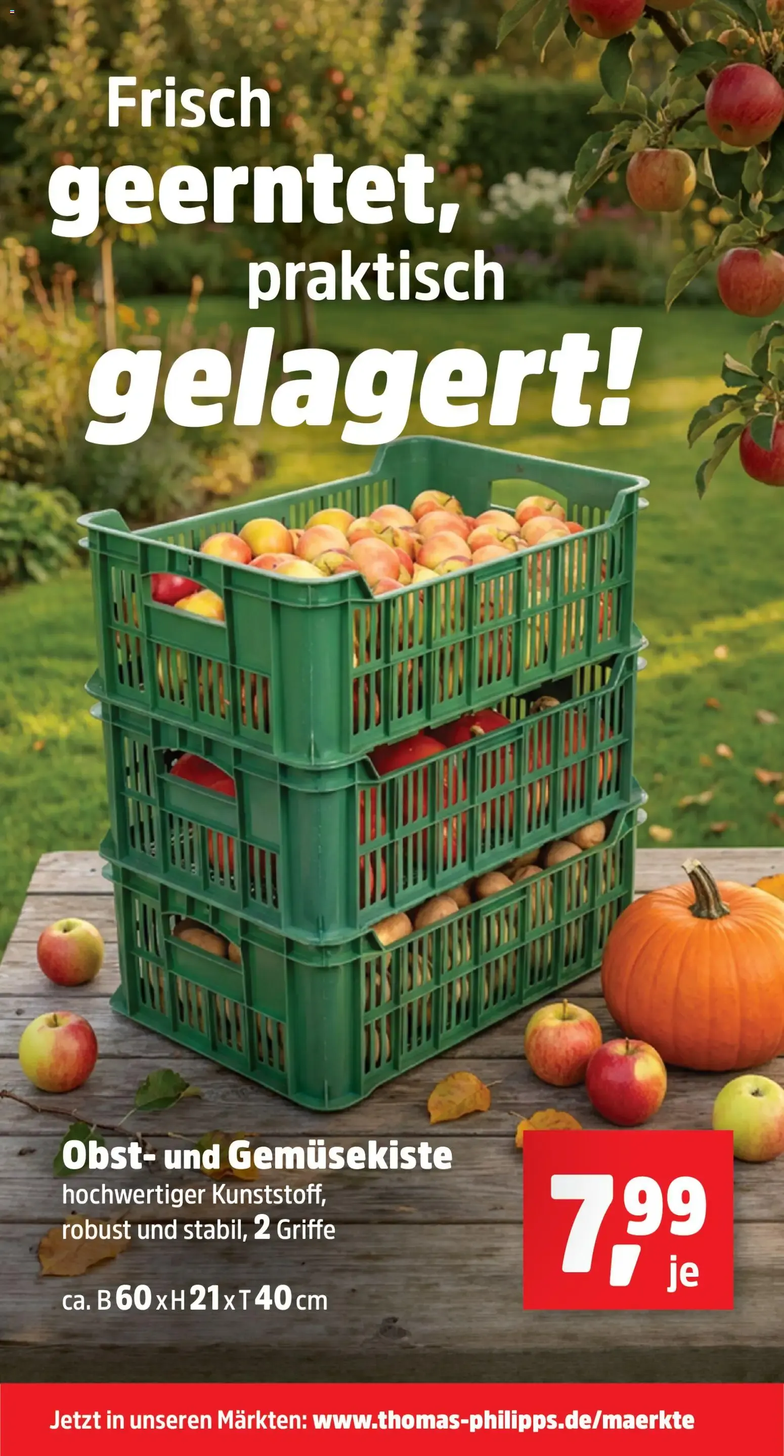 Thomas Philipps Prospekt (ab 19.10.2026) zum Blättern von 19. Oktober bis 24. Oktober 2026 - Prospekt seite 17
