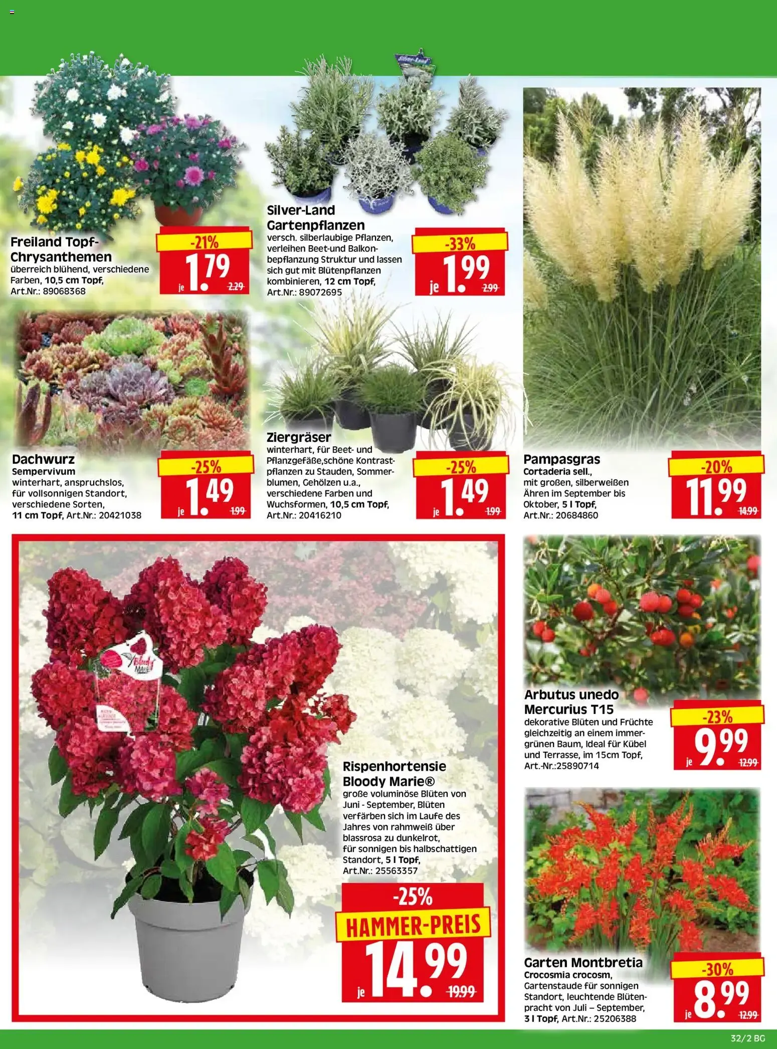 HERKULES Bau & Garten (ab 03.08.2026) zum Blättern von 3. August bis 8. August 2026 - Prospekt seite 2