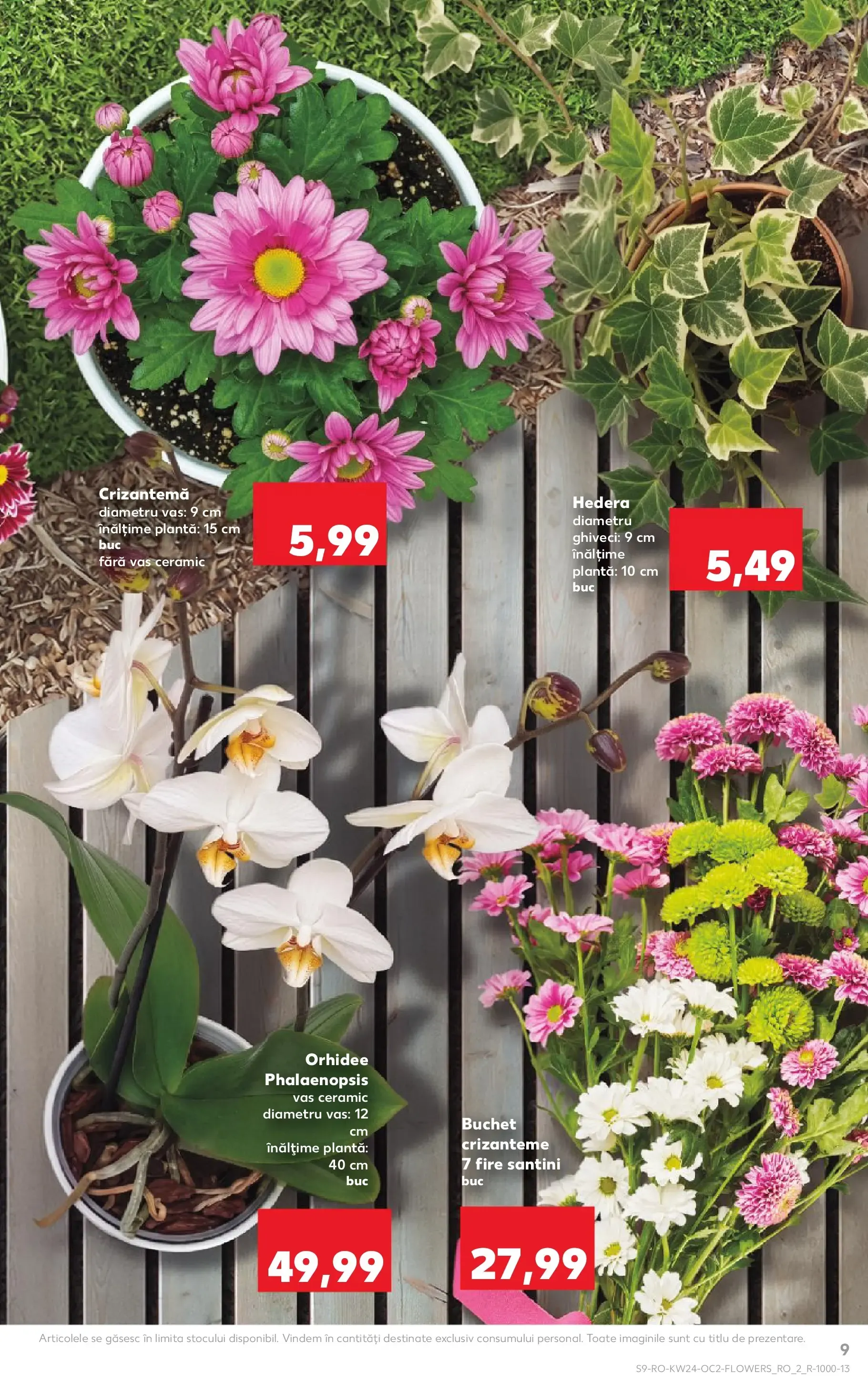 Catalog Kaufland Domnesti 10.06.2026 - Revista si Oferta de la 10 iunie până la 16 iunie 2026 - Revista Pagina 9