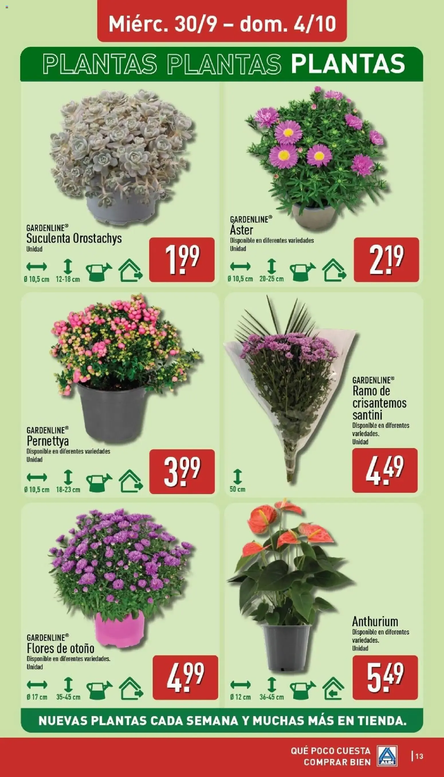 Catálogo de Aldi 28 de septiembre al 4 de octubre 2026 - Página 13