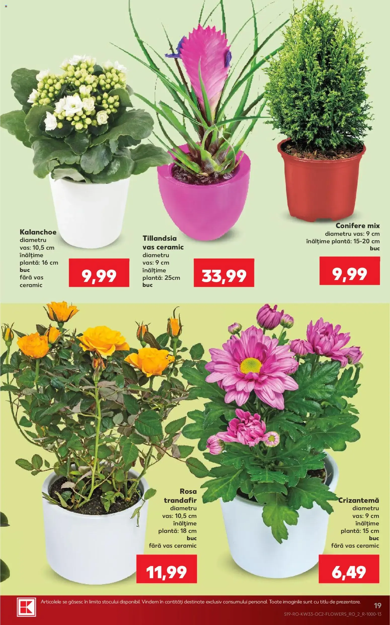 Catalog Kaufland București 12.08.2026 - Revista si Oferta de la 12 august până la 18 august 2026 - Revista Pagina 19