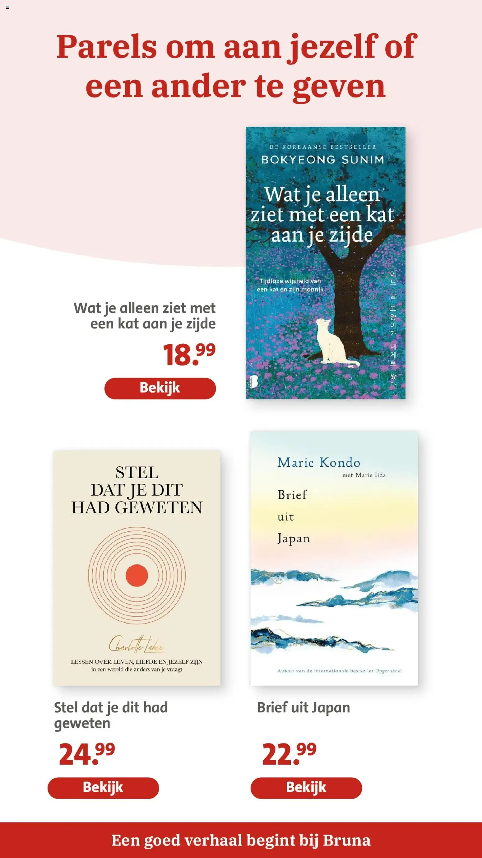 Bruna: Nuevo libro 'De echo van een zomer' van 20 juli tot 2 augustus 2026 - Folder pagina 18