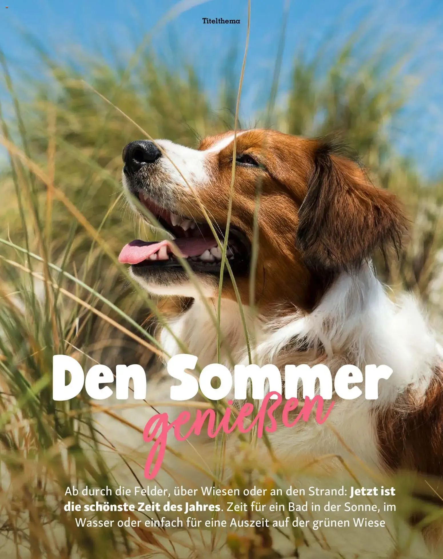 FRESSNAPF Friends - Europas größtes Haustier-Magazin von 1. Juli bis 31. August 2026 - Prospekt seite 11