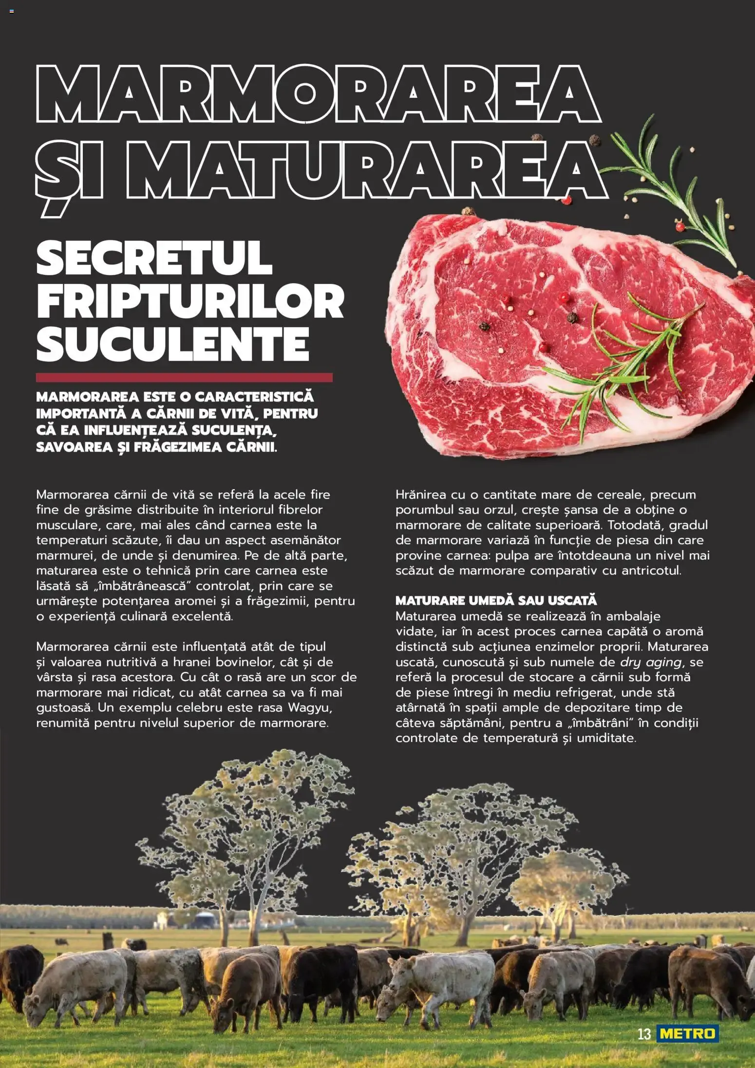 Catalog Metro catalog - Carne pentru Profesioniști - Oferta 03.06.2025 - 31.12.2026 de la 3 iunie până la 31 decembrie 2026 - Revista Pagina 13
