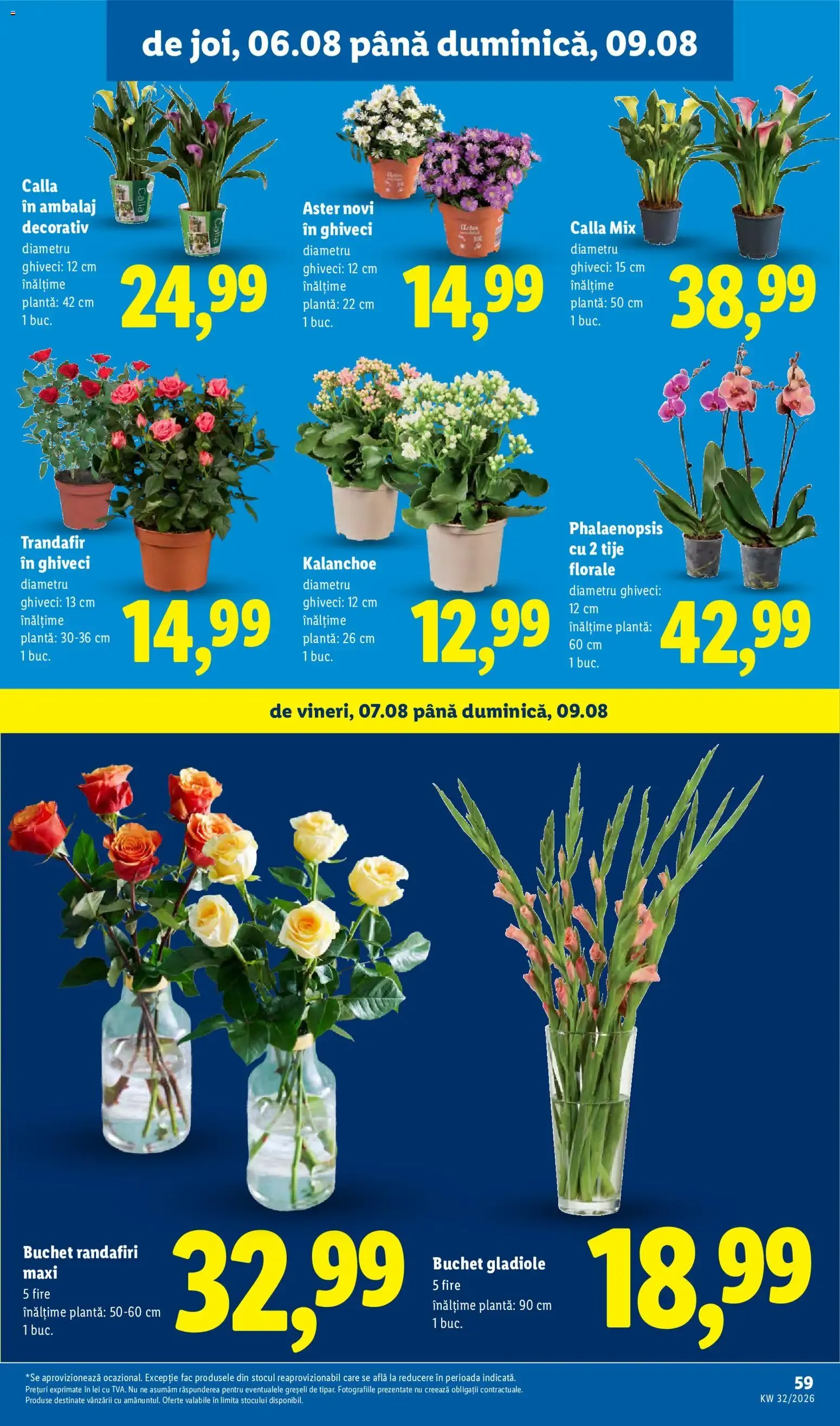 Catalog Catalog LIDL 03.08.2026 - Oferta și Revista online de la 3 august până la 9 august 2026 - Revista Pagina 59